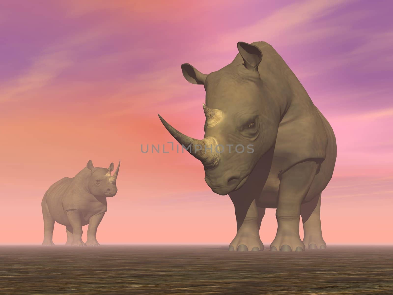 Two rhinoceros in the savannah by evening light