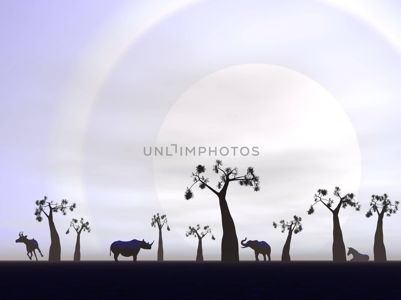 Shadows of animals in the savannah next to baobabs by hard sunset