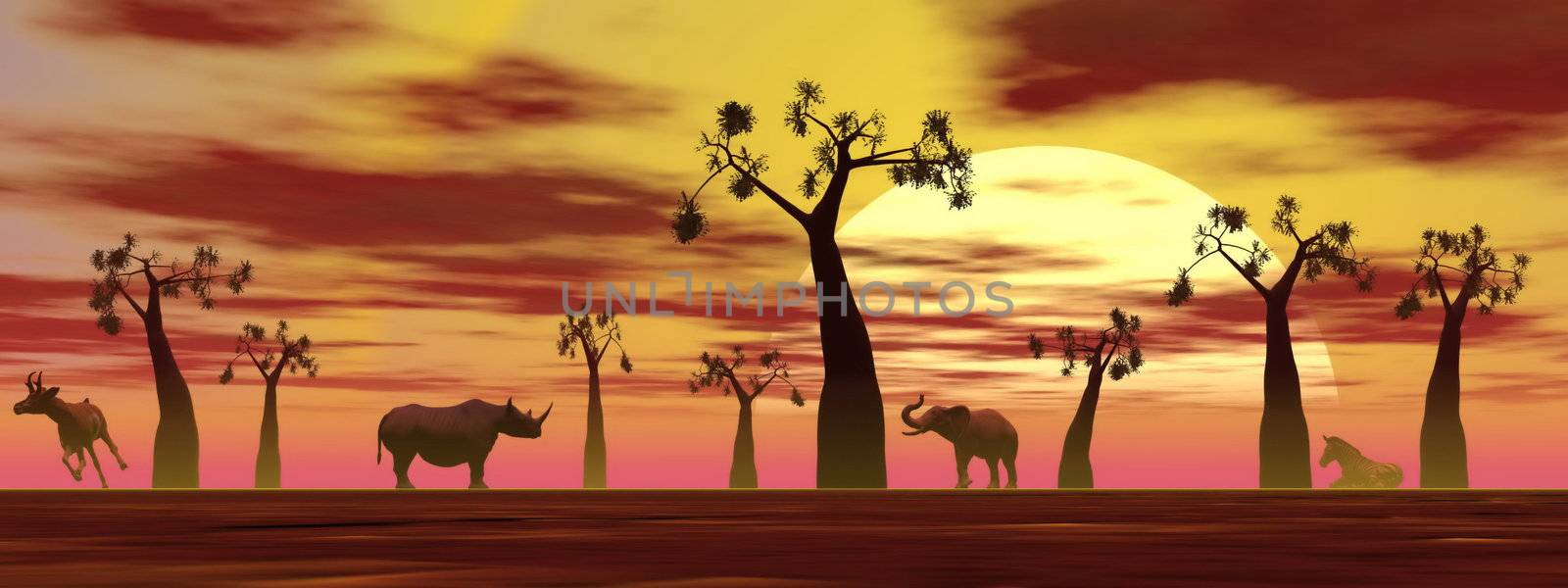 Shadows of animals in the savannah next to baobabs by sunset