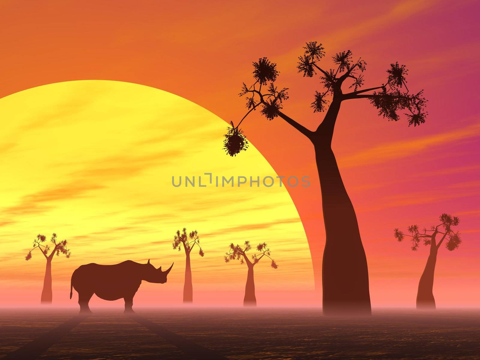 Rhinoceros in the savannah by Elenaphotos21