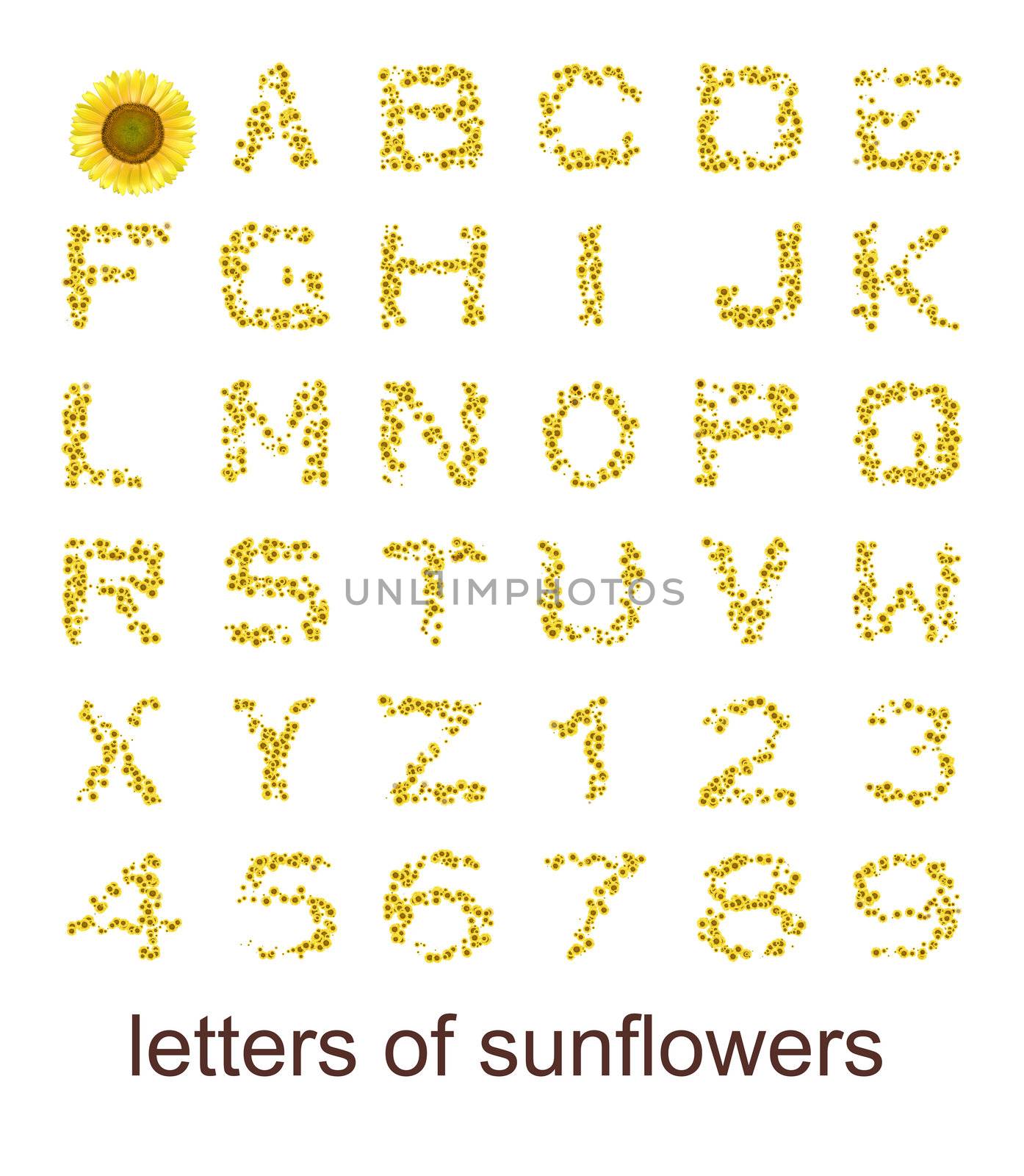 An image with some colorful letters of sunflowers