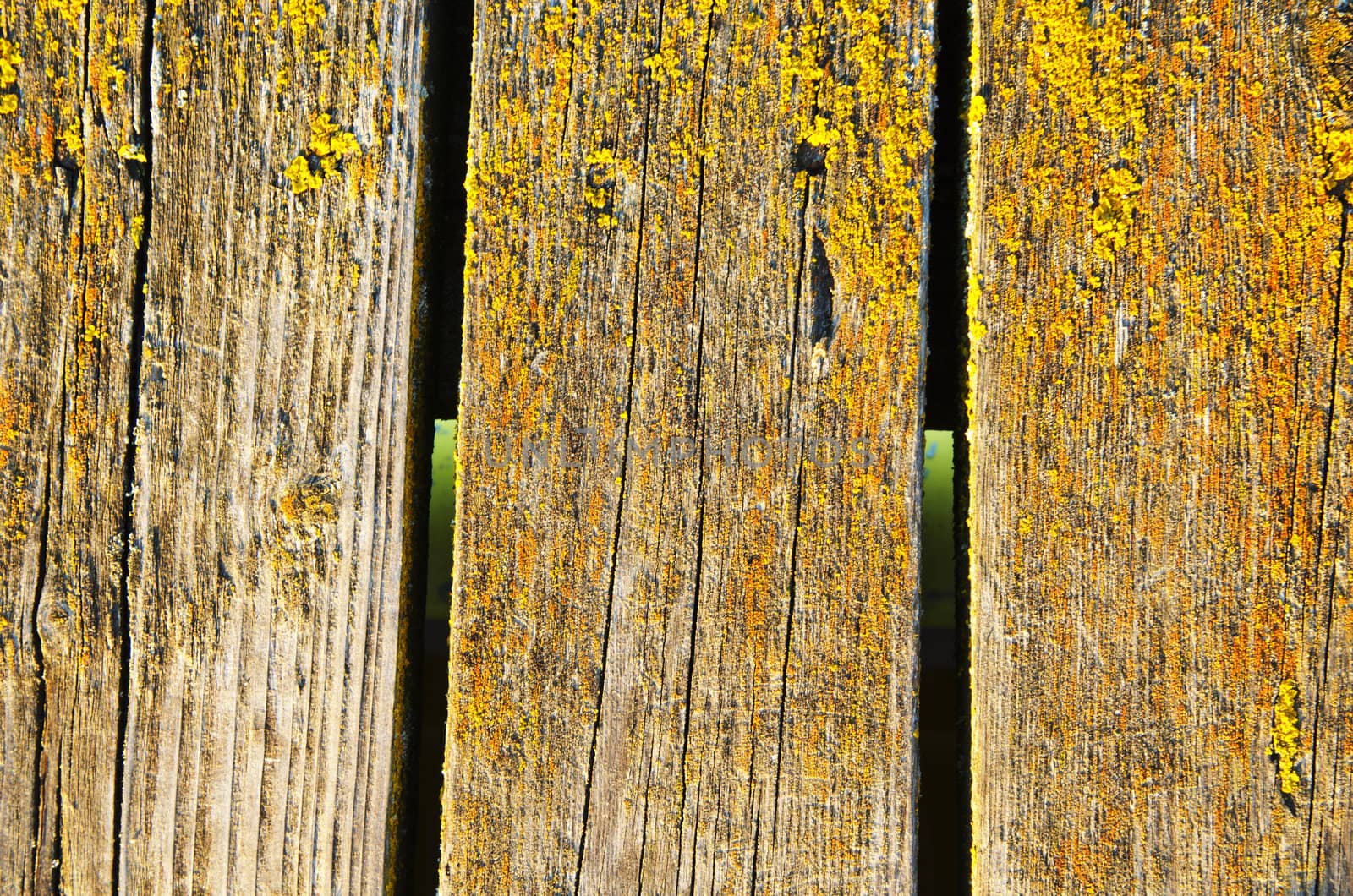 Background of mossy wooden bridge plank board closeup.