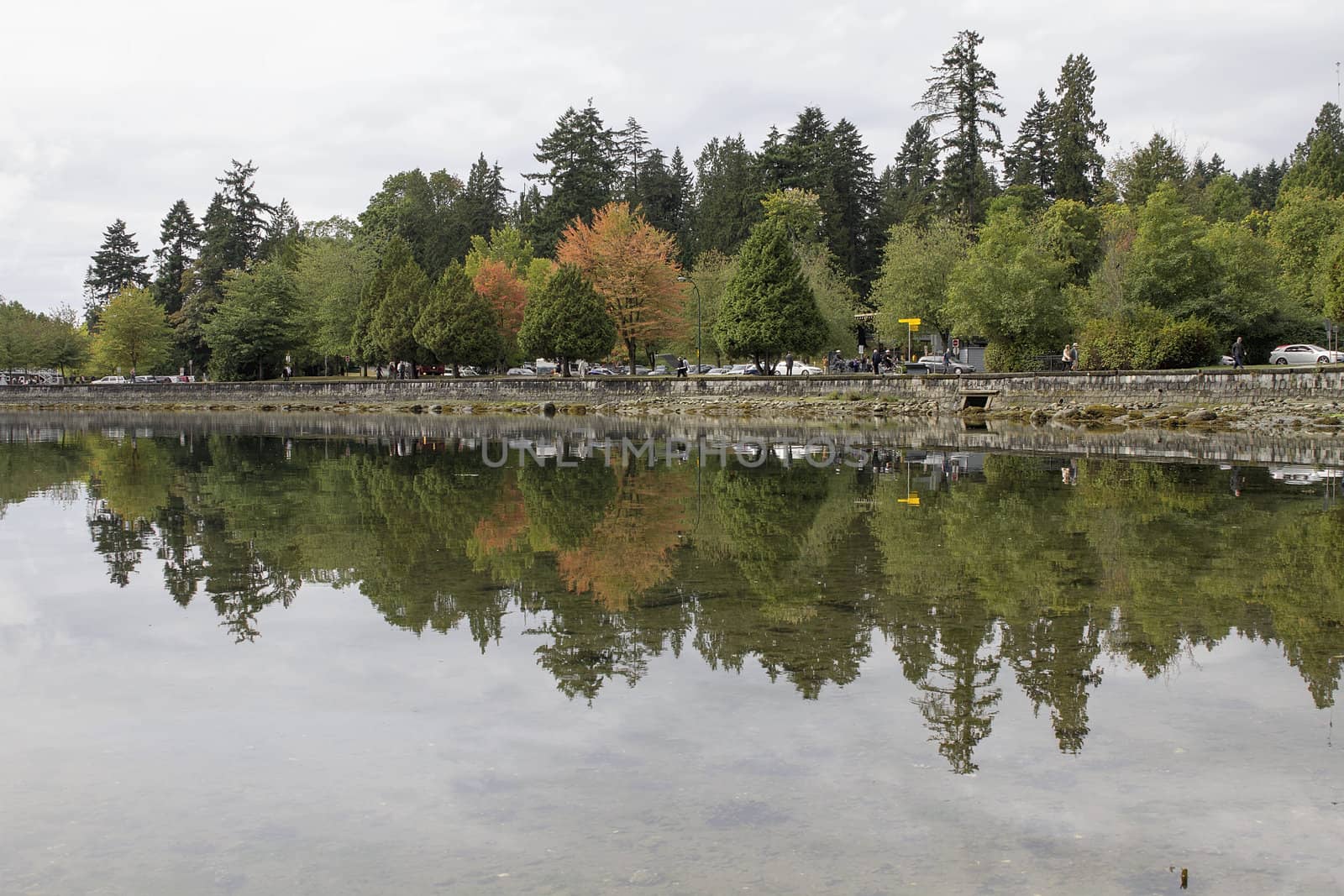 Stanley Park in Vancouver BC Canada Along False Creek Seawall