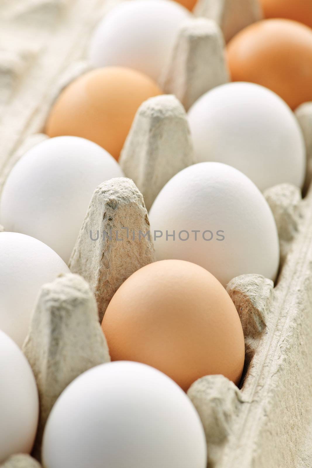 Closeup of white and brown eggs in carton