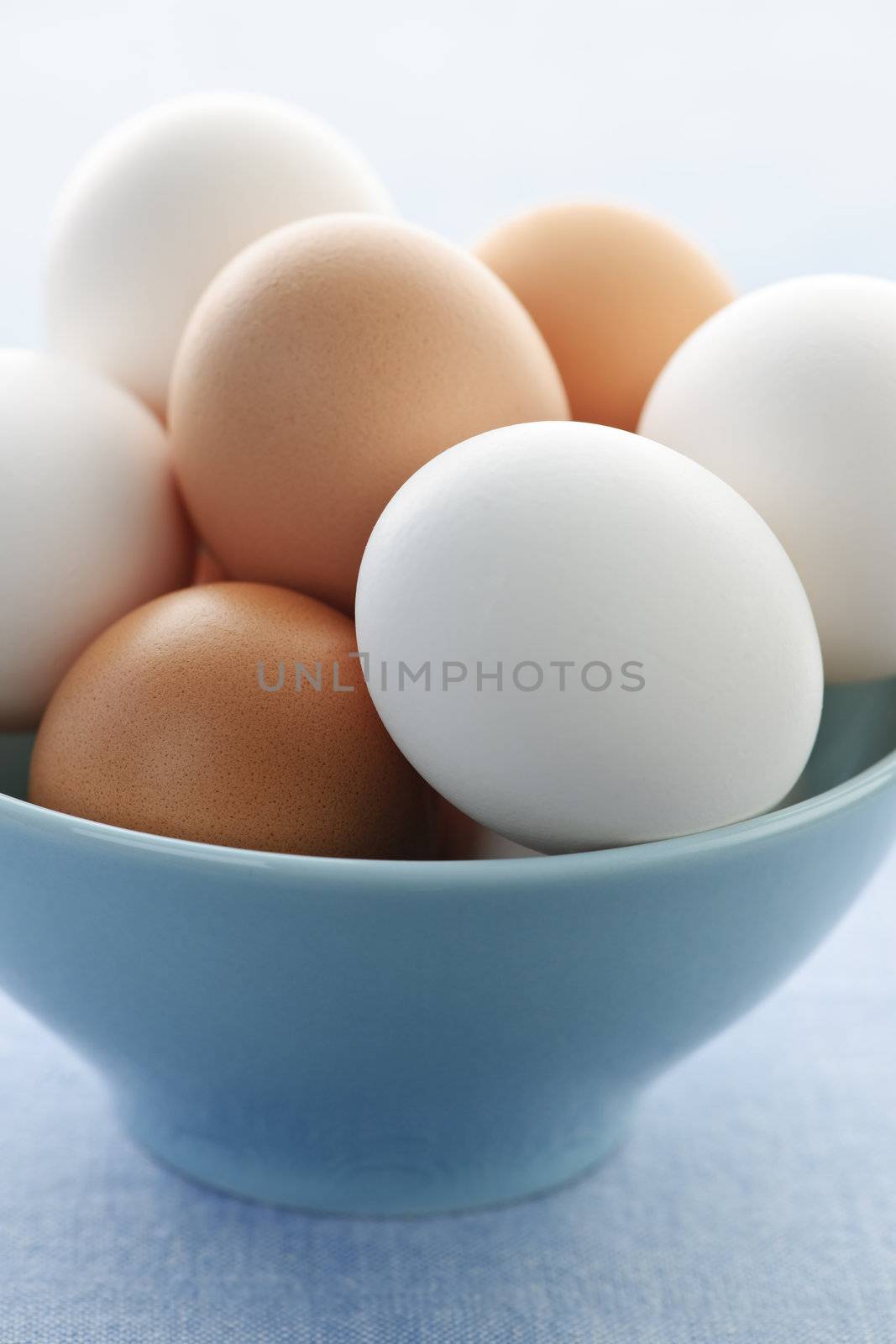 Eggs in bowl by elenathewise