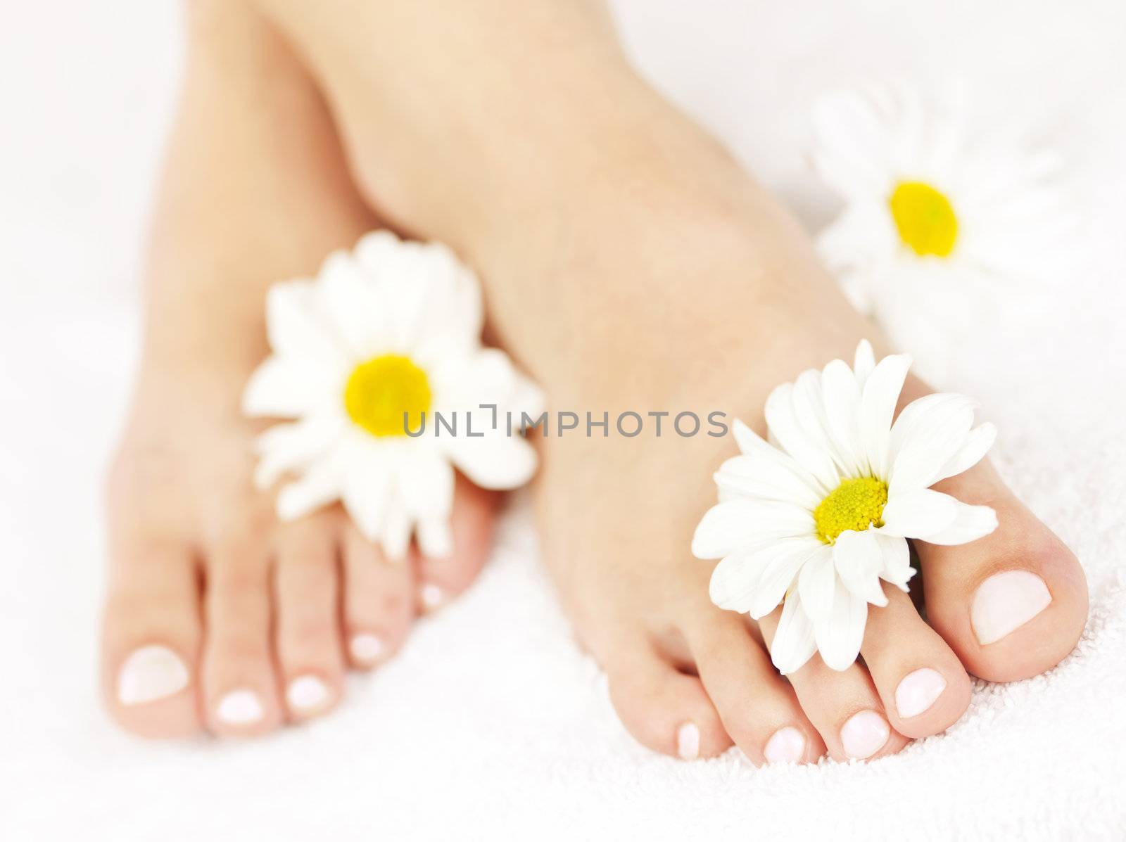 Soft female feet with pedicure and flowers close up