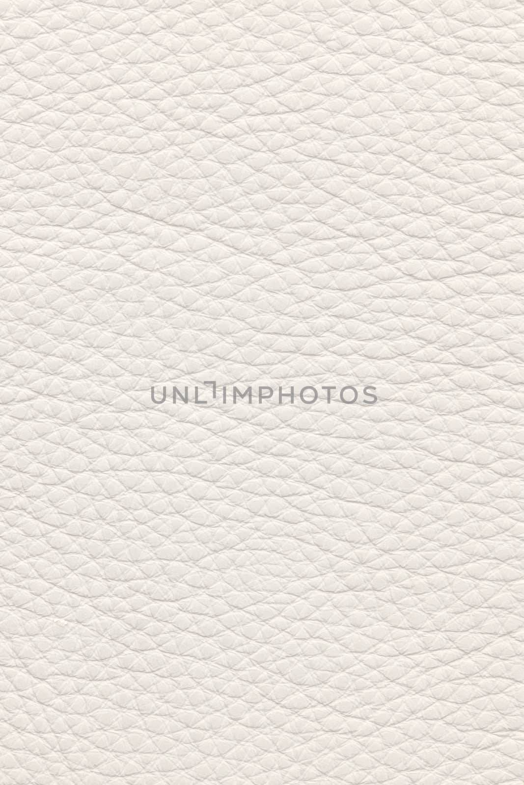 White natural leather background or texture close up