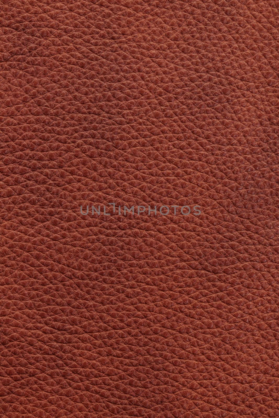 Brown natural leather background or texture close up