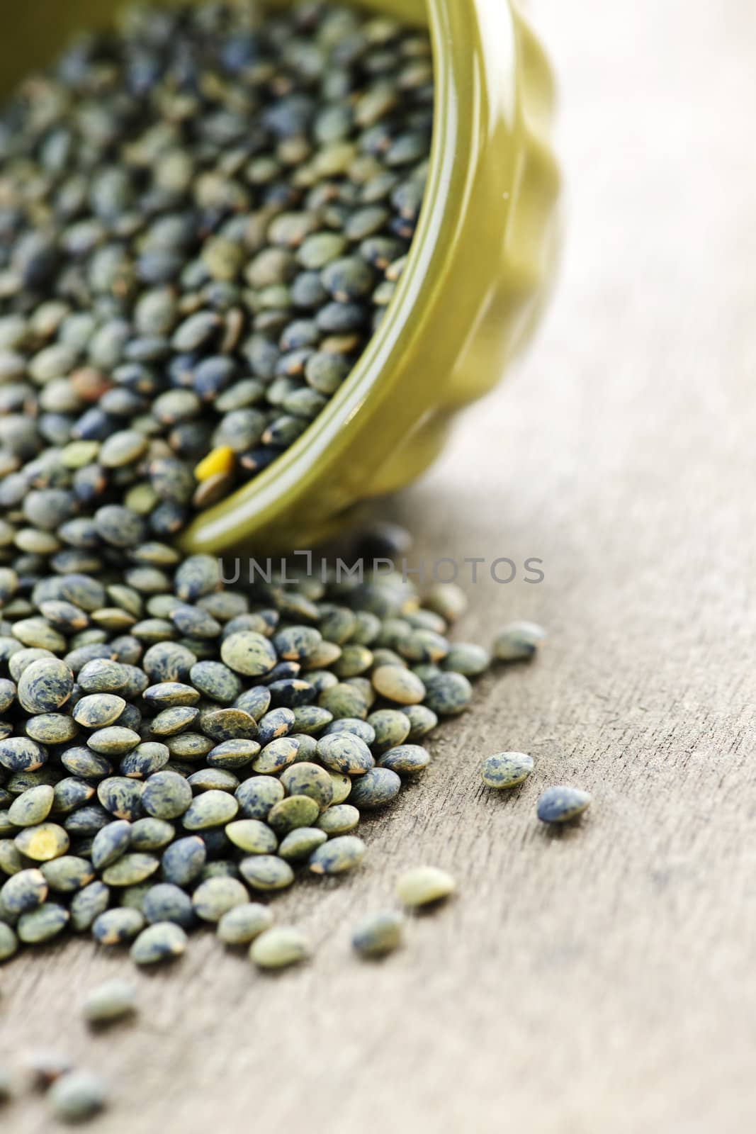 Bowl of uncooked French lentils by elenathewise
