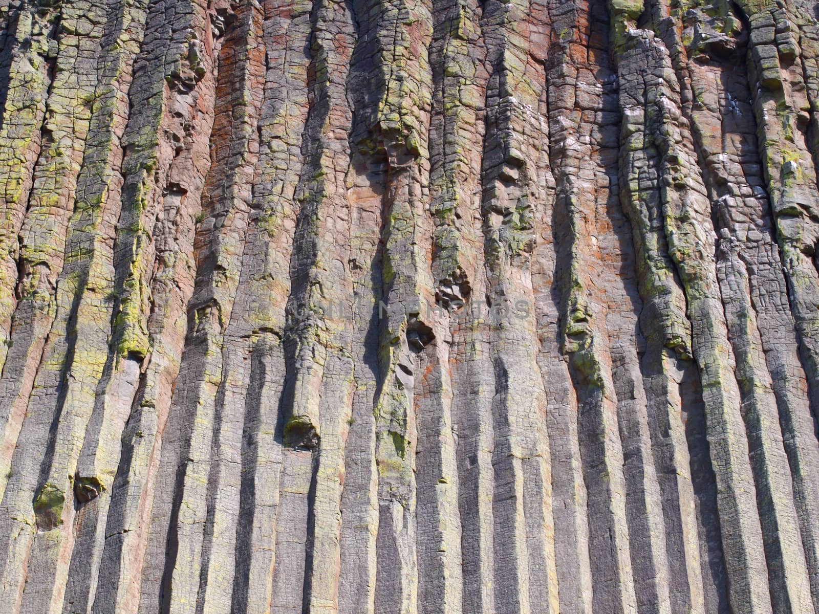 Interesting geological features of Devils Tower National Monument in Wyoming.