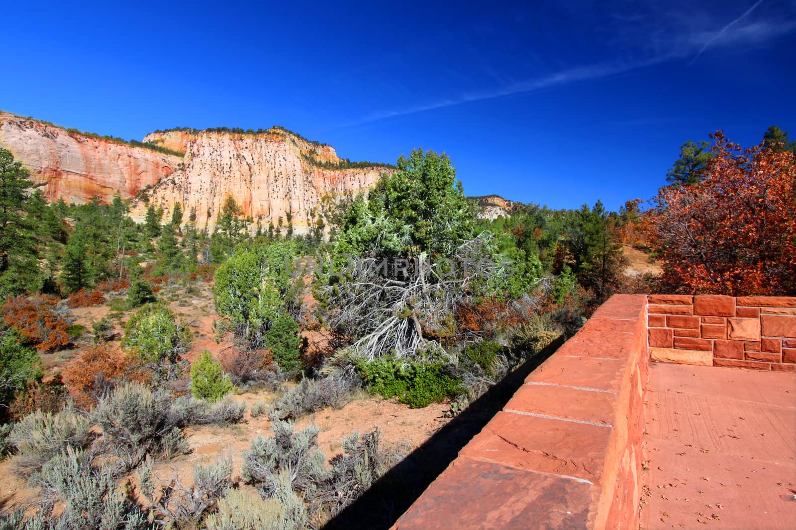 Scenic overlook at Zion National Park in Utah.