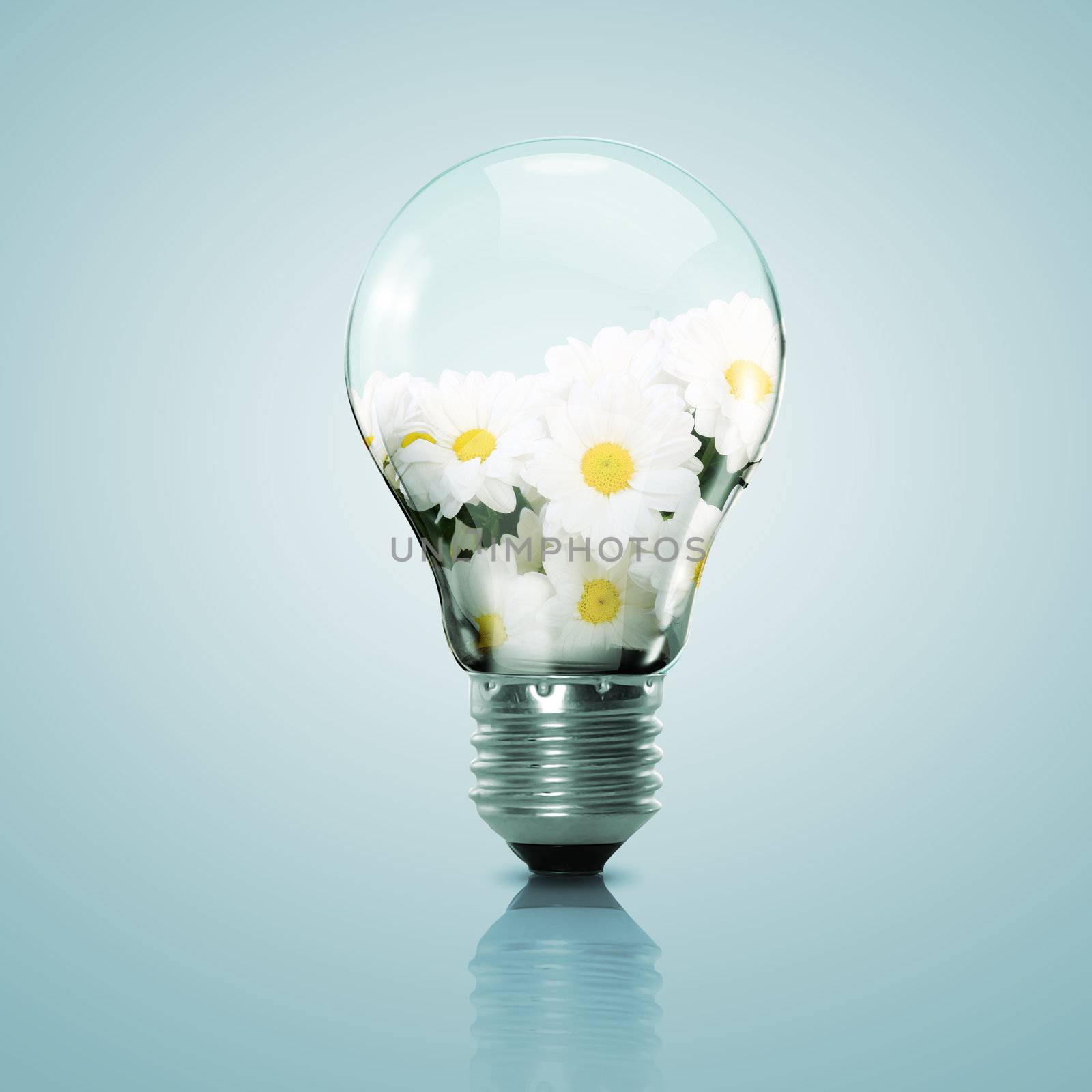 Electric light bulb and flower inside it by sergey_nivens
