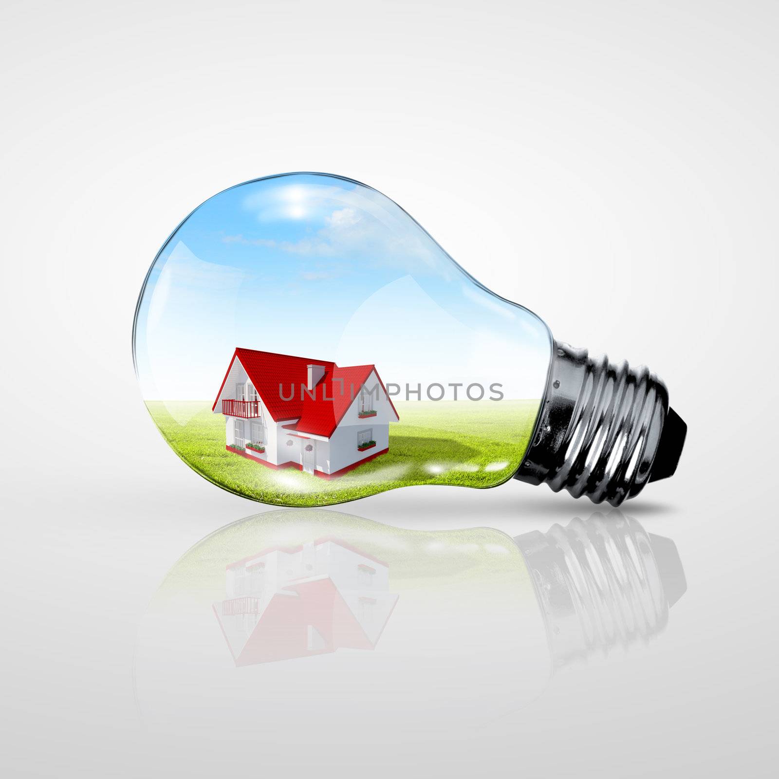 Electric light bulb and house inside it by sergey_nivens