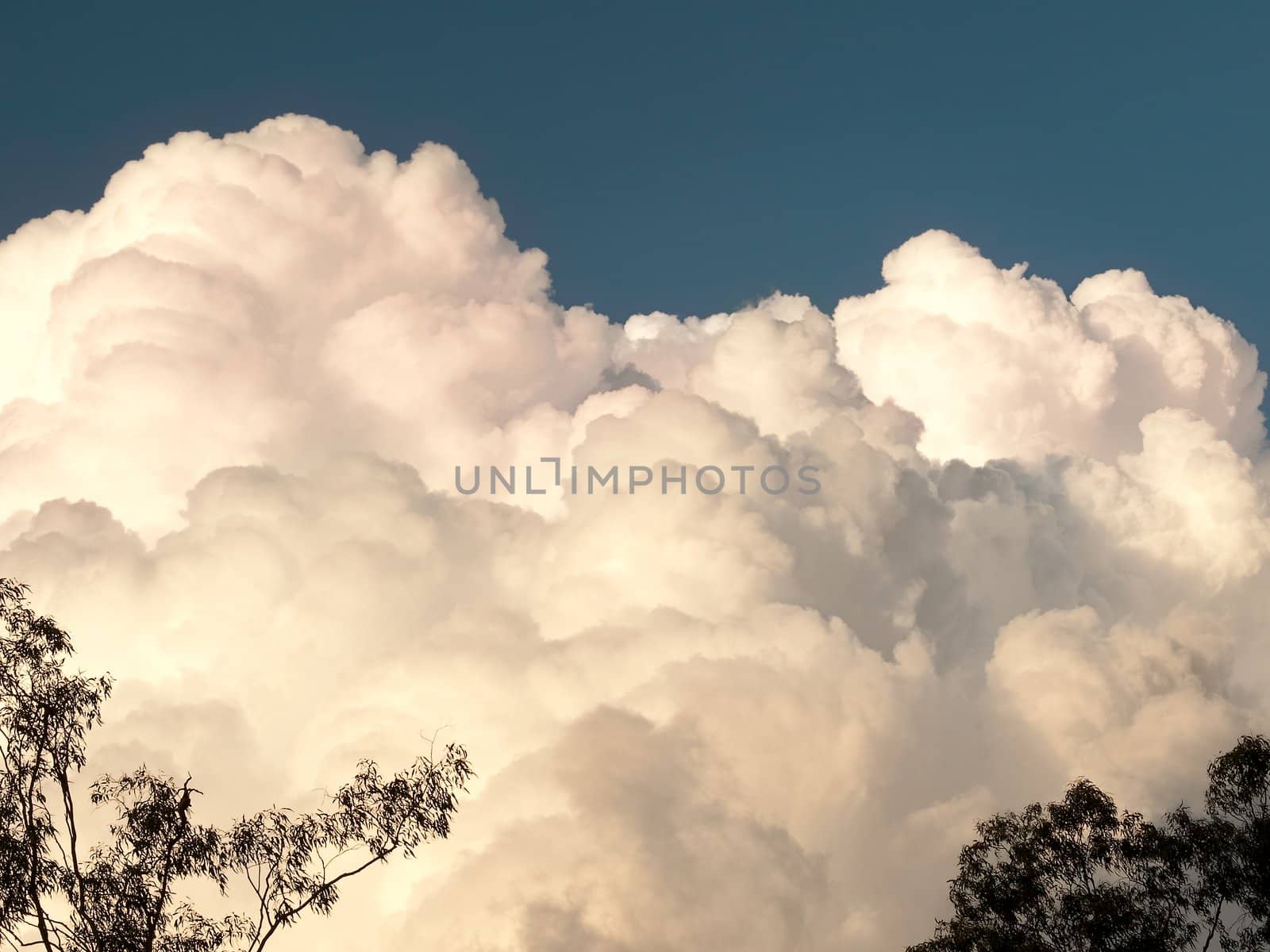 Weather Science meteorology,white fluffy towering cumulus storm cloud bank