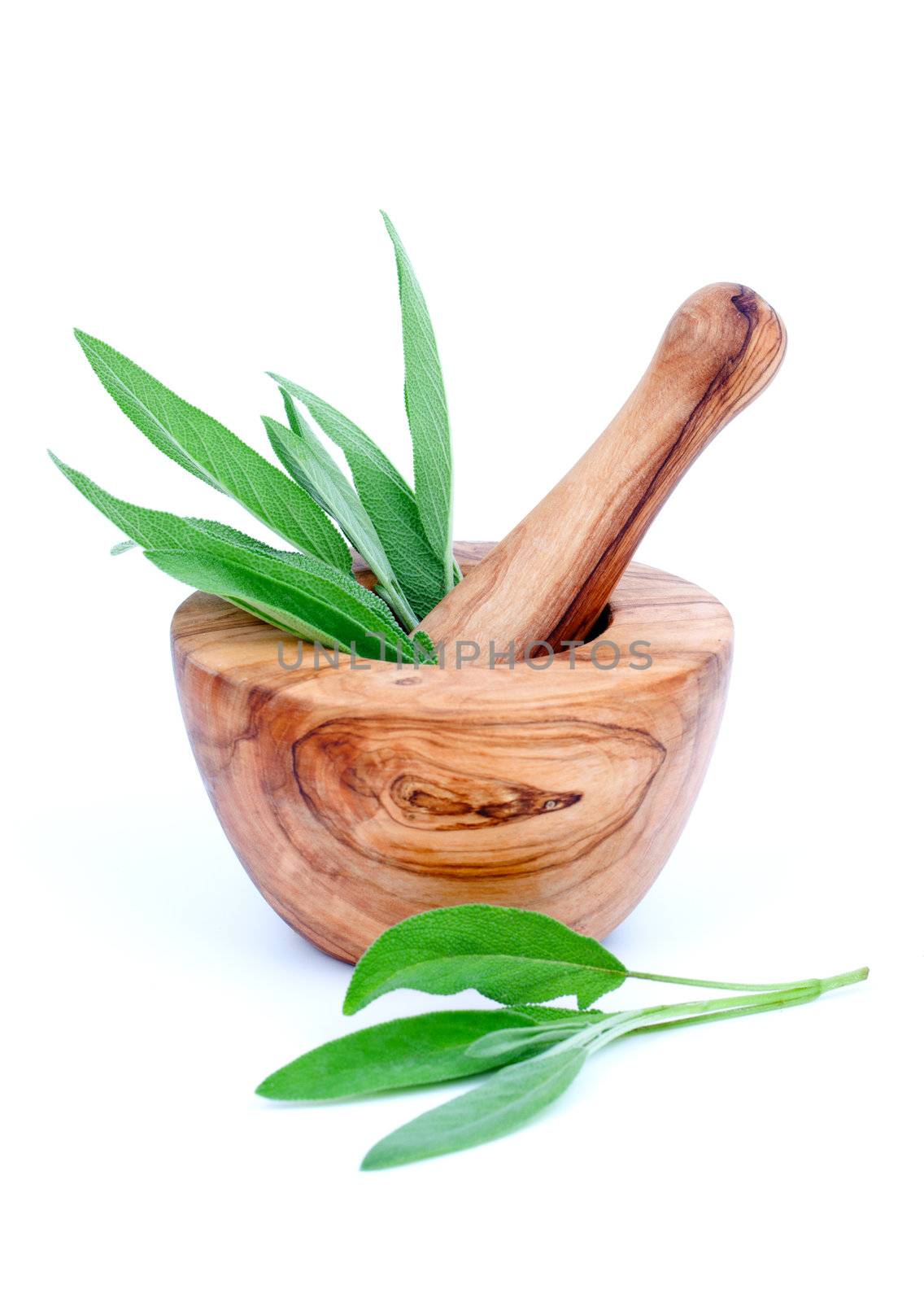 wooden mortar with green leaves of sage, on white background