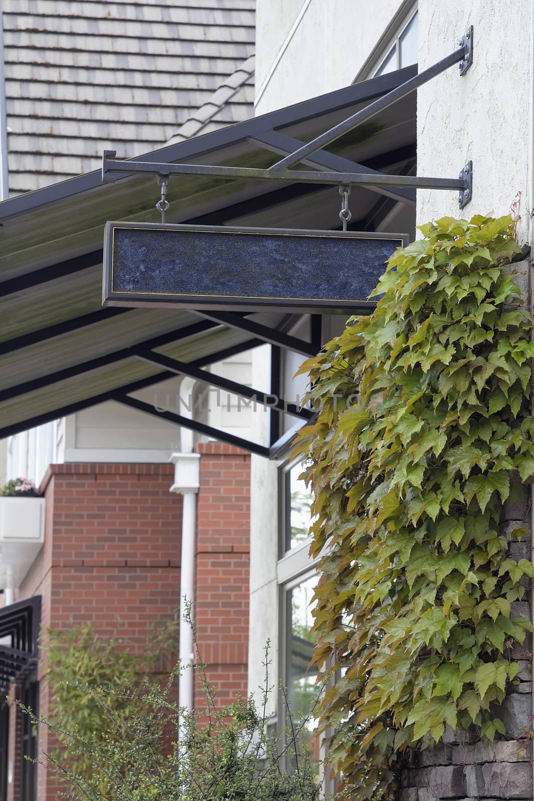 Storefront Retail Commercial Space Blank Sign with Boston Ivy on Exterior Wall