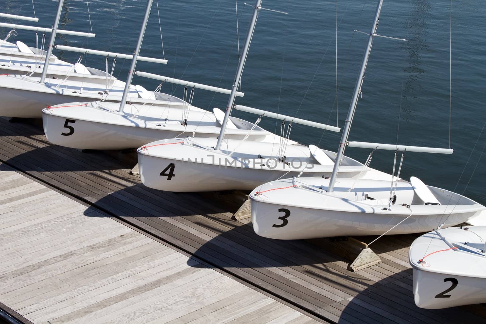 Small rental centerboard sailboats line the pier at a yacht club on the water.