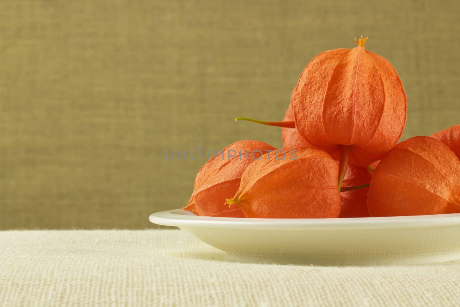  white plate with orange fruits on brown background