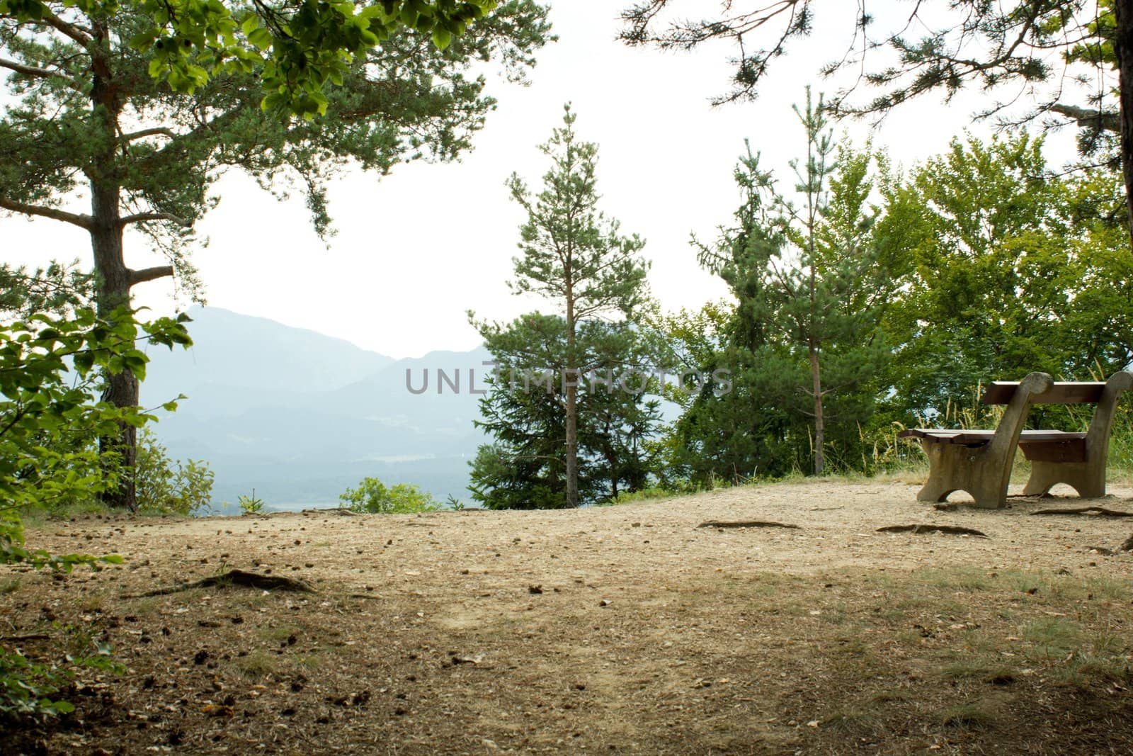 A lonely bench with a nice view