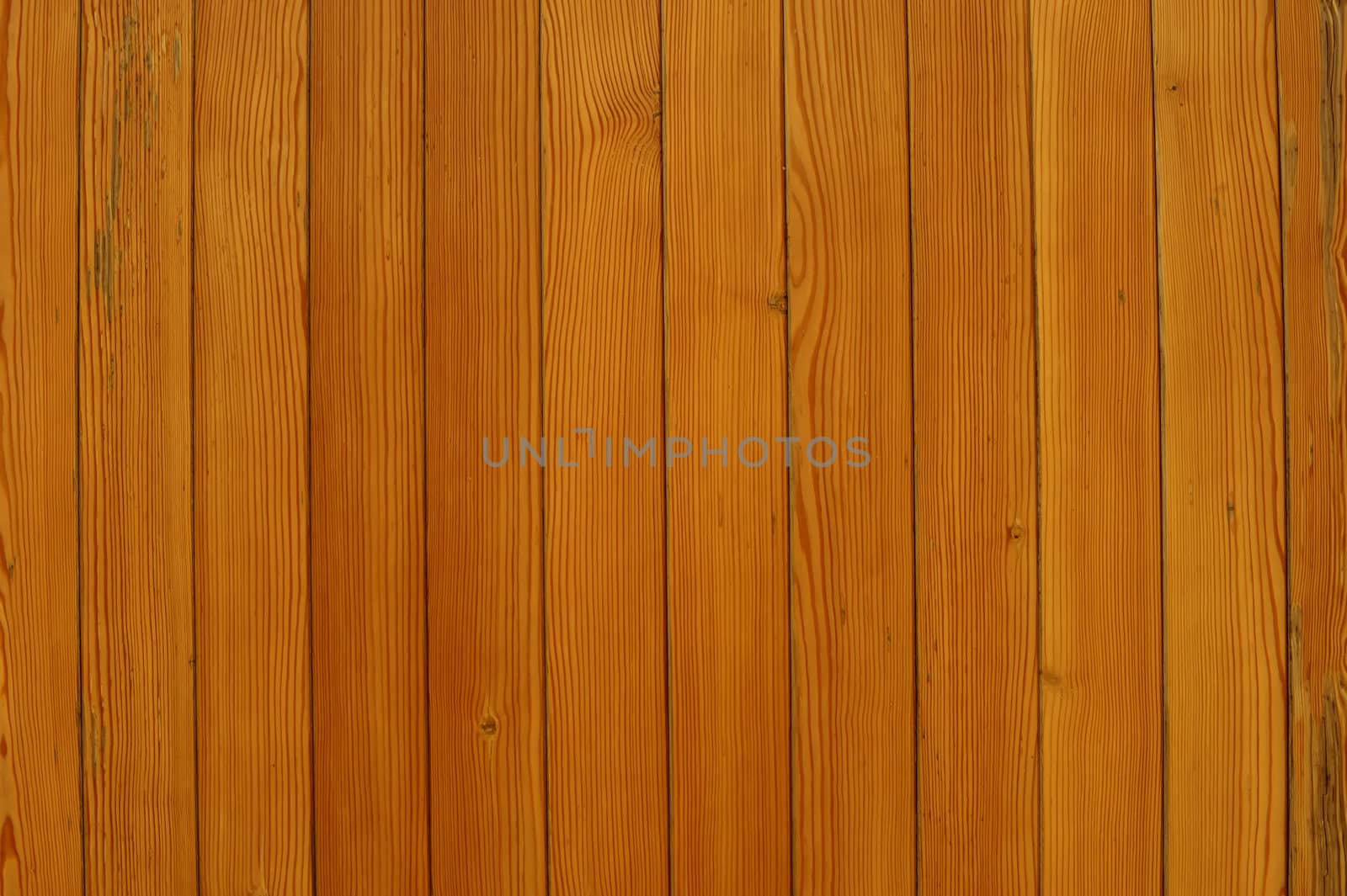 the brown wood texture with natural patterns
