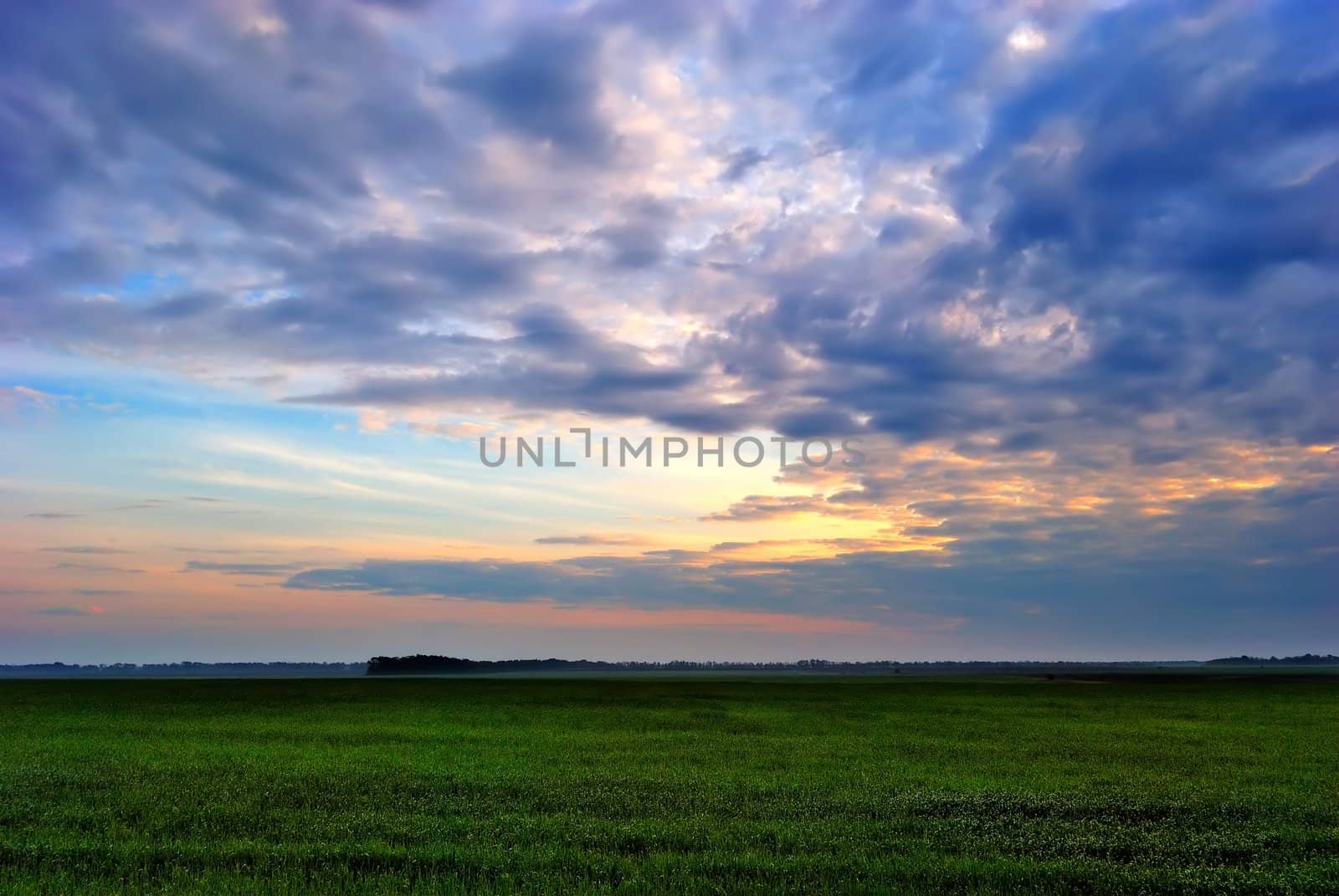 Field under a cloudy sky in the early spring morning before sunrise