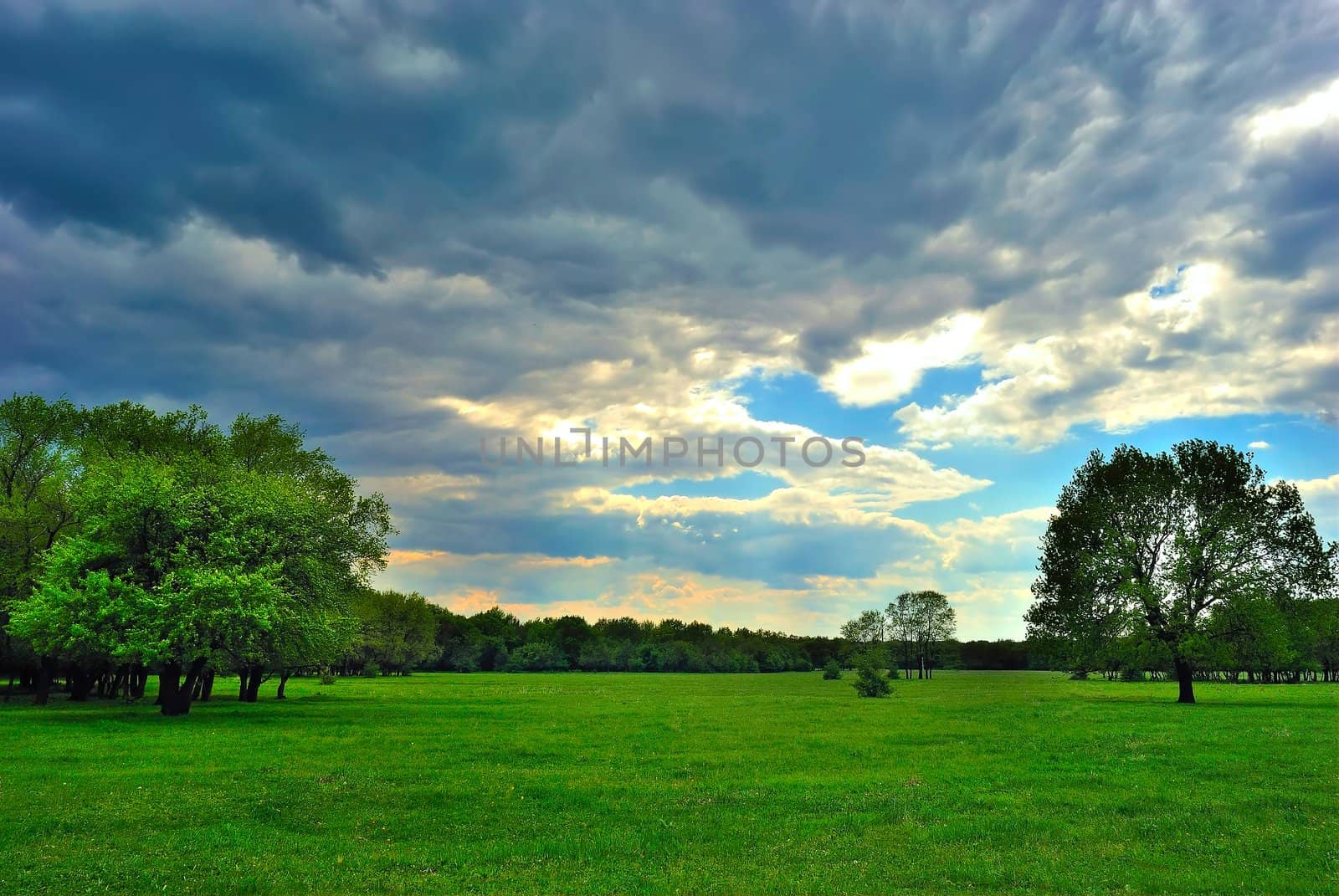 A cloud over the green meadow and forest on the horizon