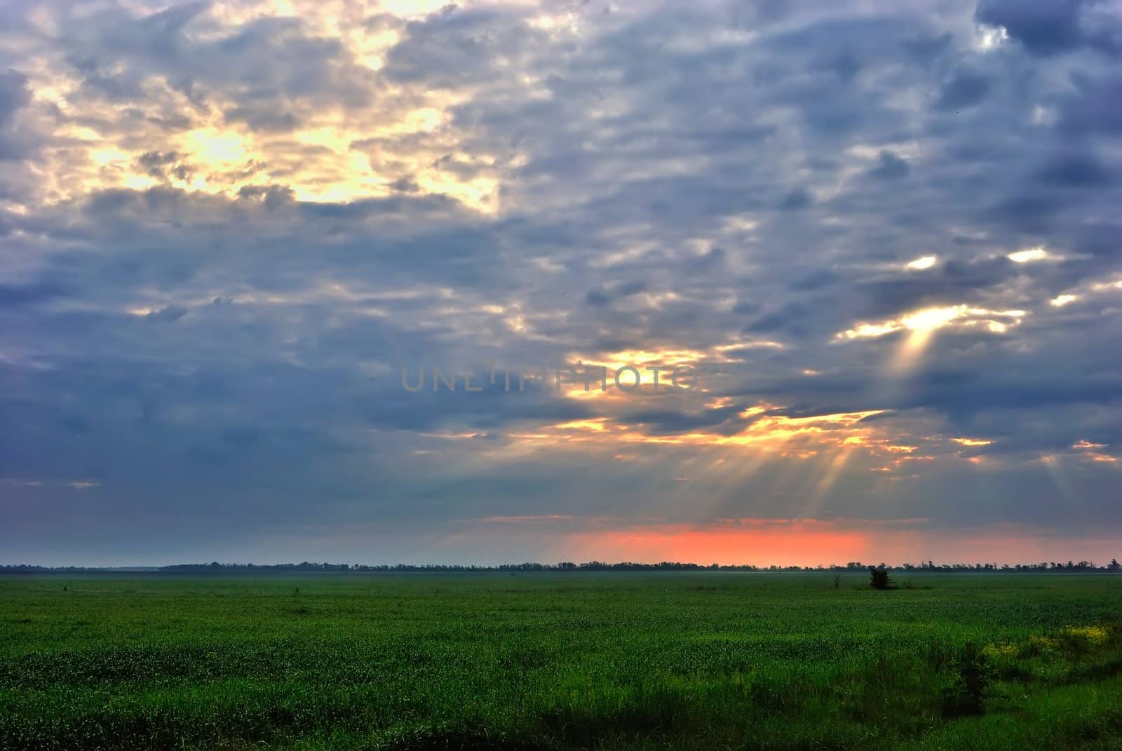 Field at sunrise under a gloomy cloudy sky