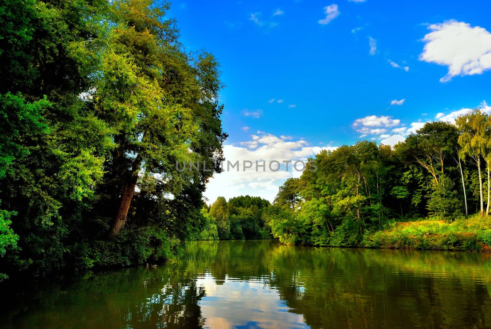 The river among the green shores of summer sunny day