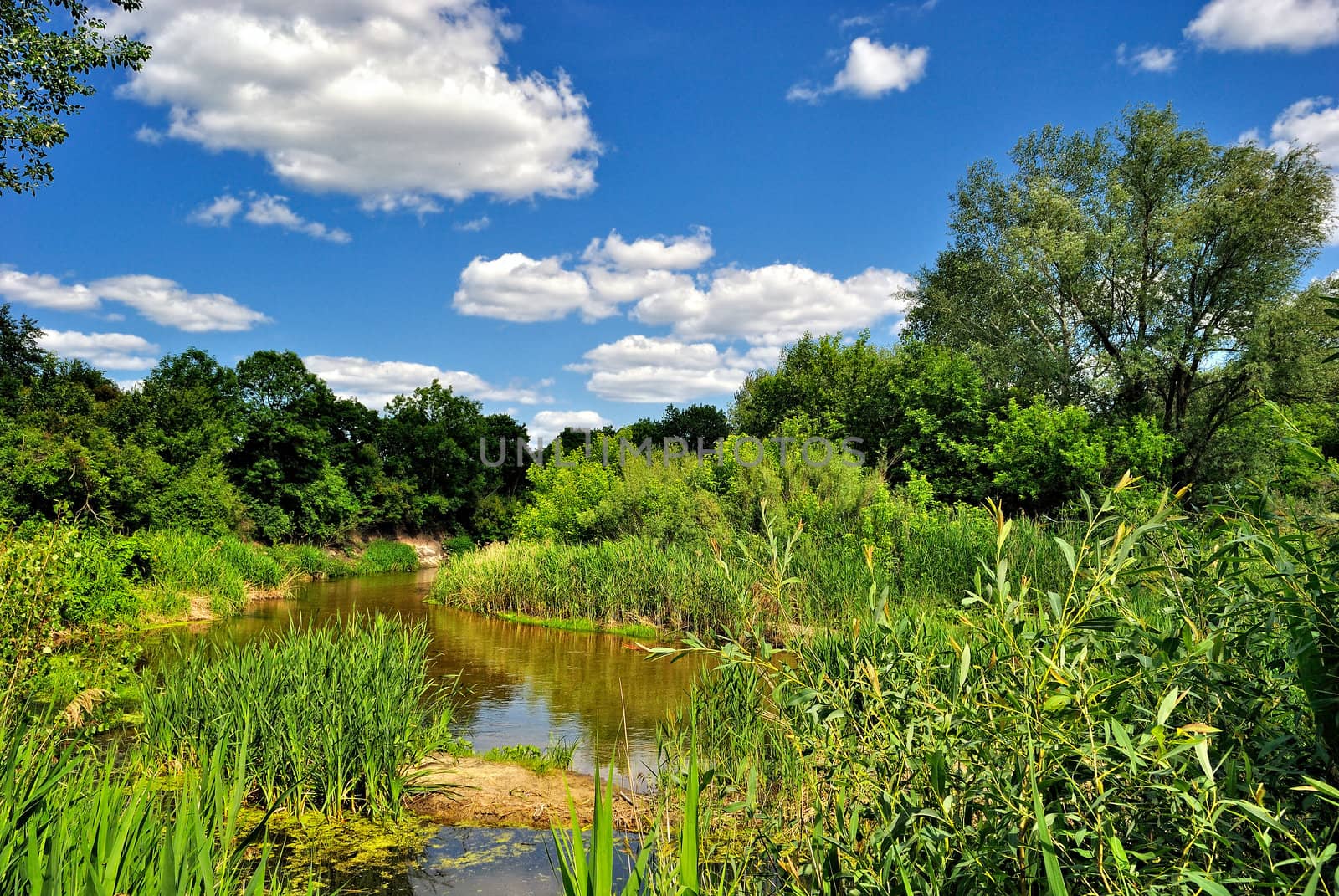 The river under the blue sky on a sunny day