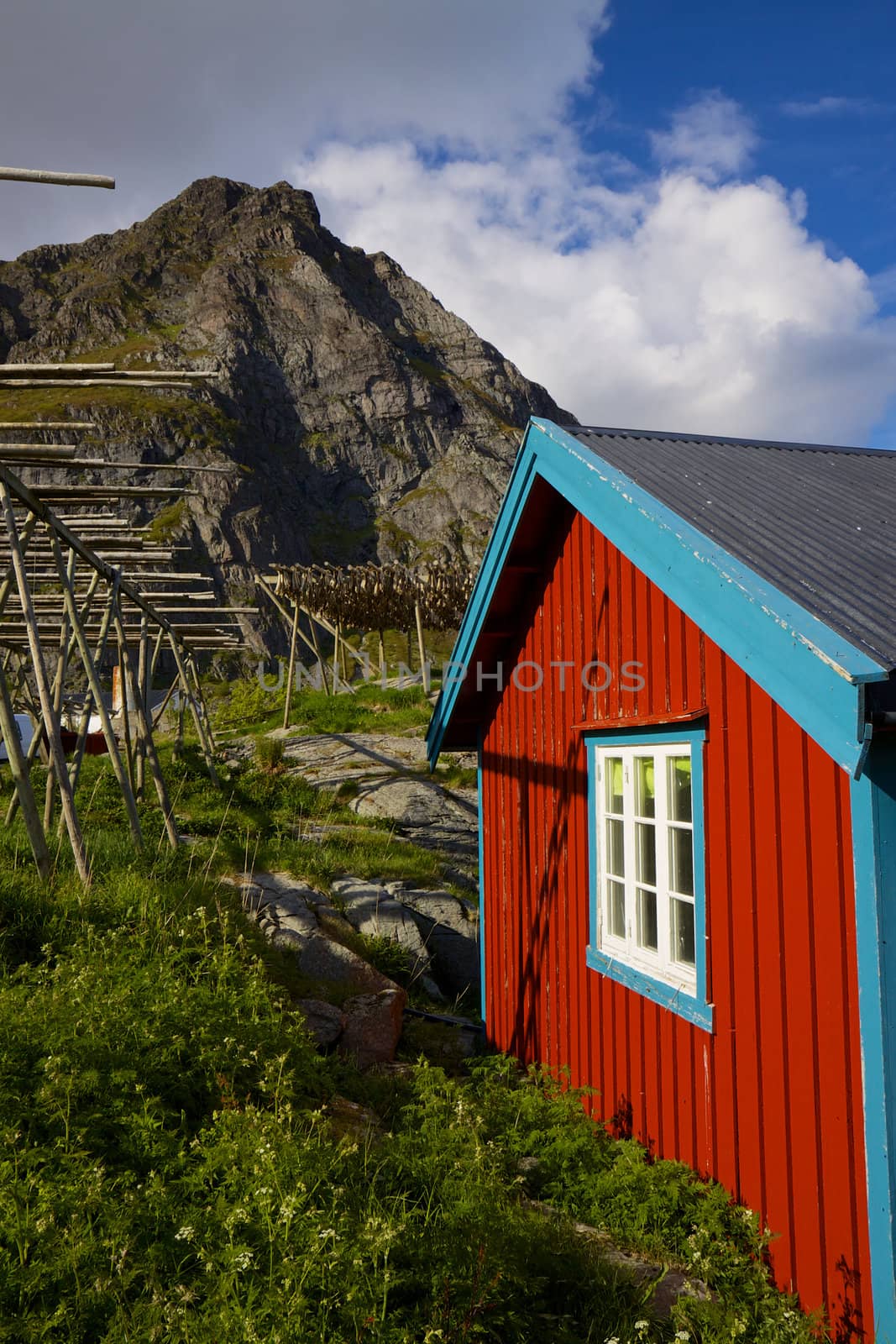 Picturesque red fishing hut with racks for drying stockfish on Lofoten islands in Norway