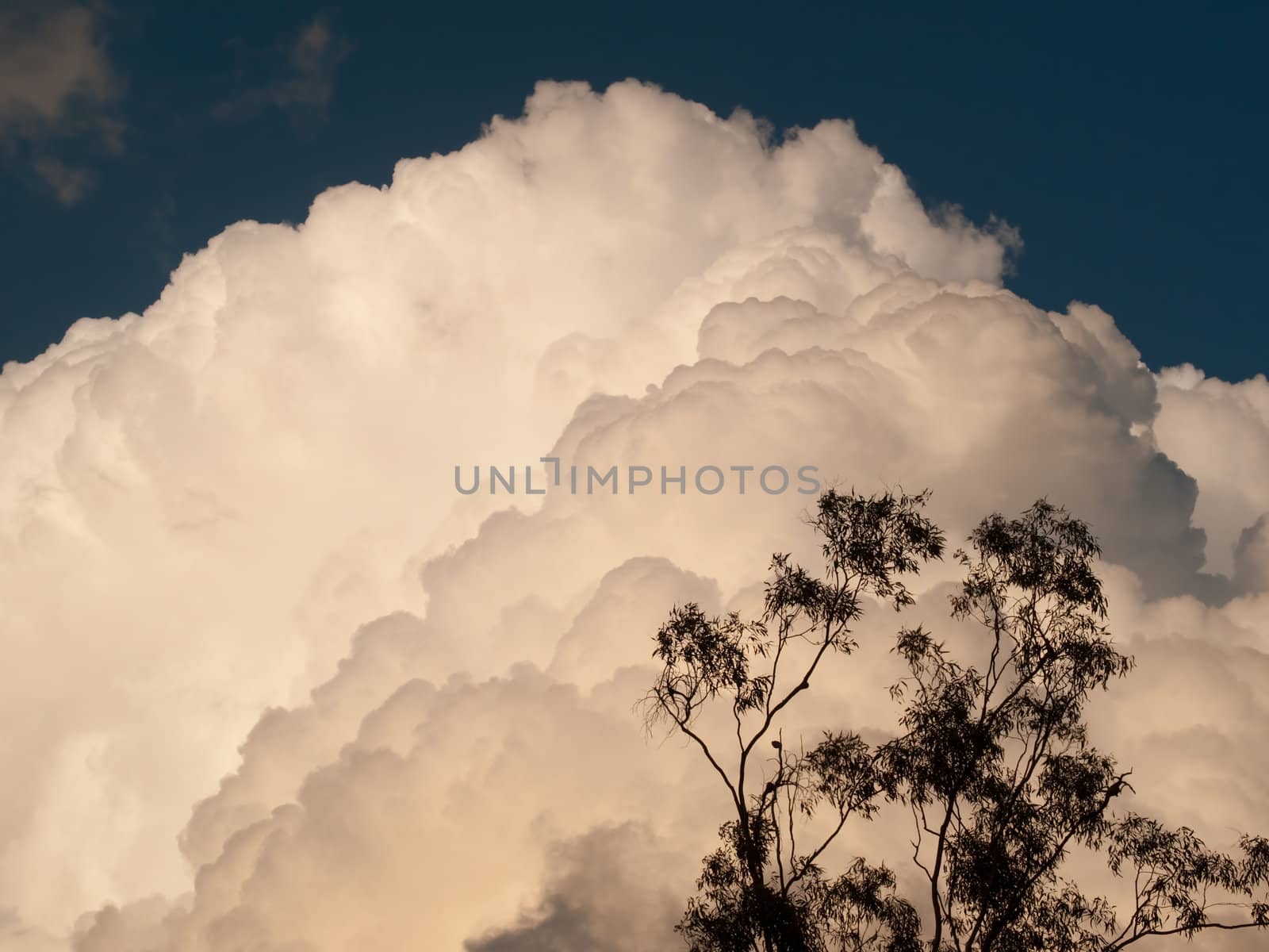 Cumulus thunderstorm clouds Cumulonimbus by sherj