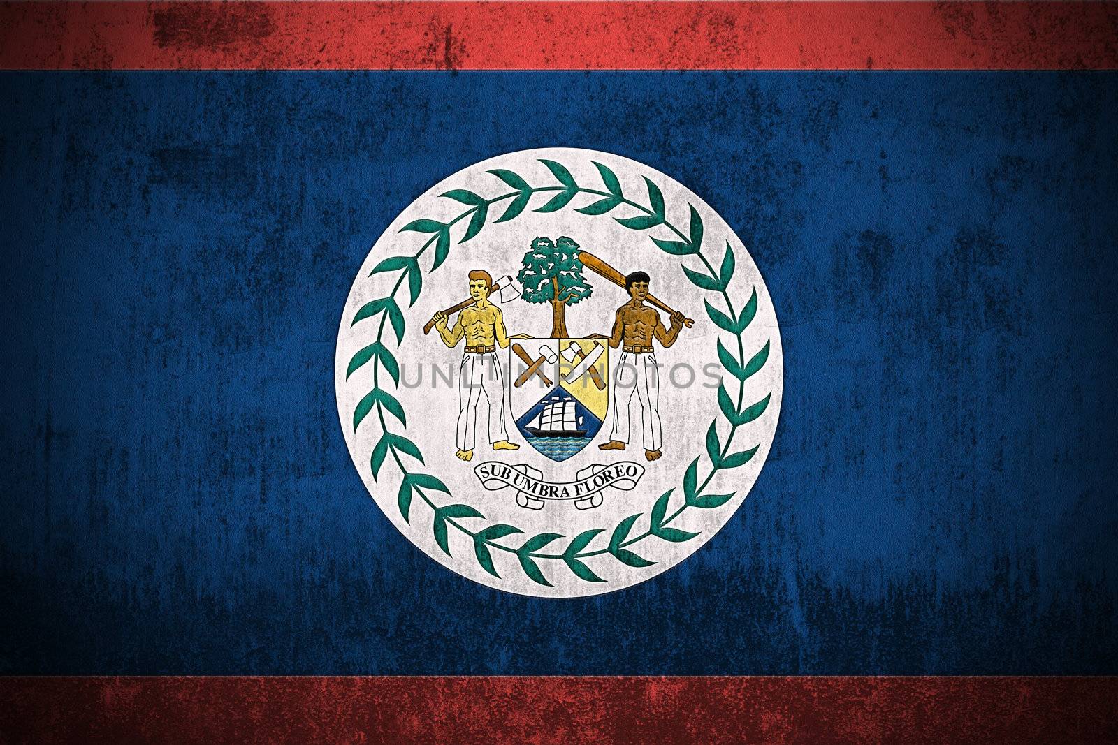 Grunge Flag Of Belize by gilmanshin