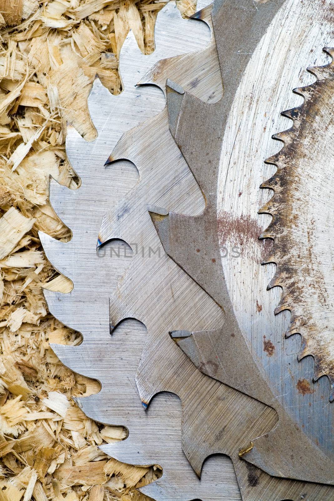 Sawblades from a circular saw on a sawdust