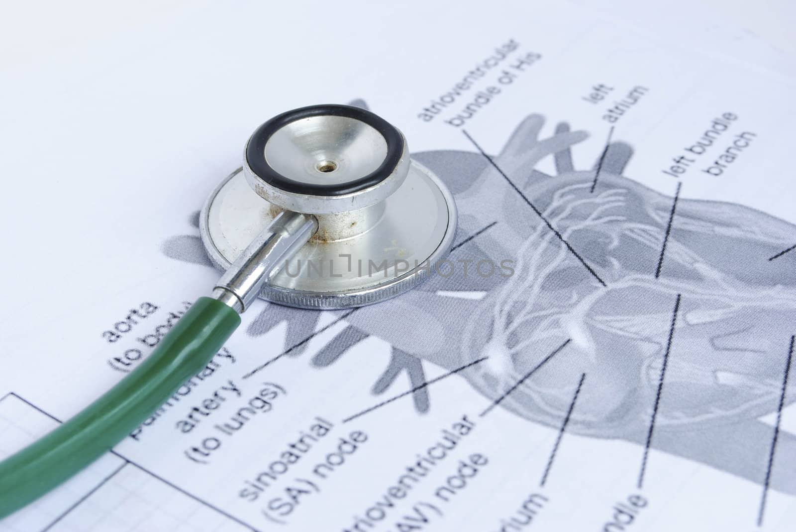 stethoscope on a picture of a human heart