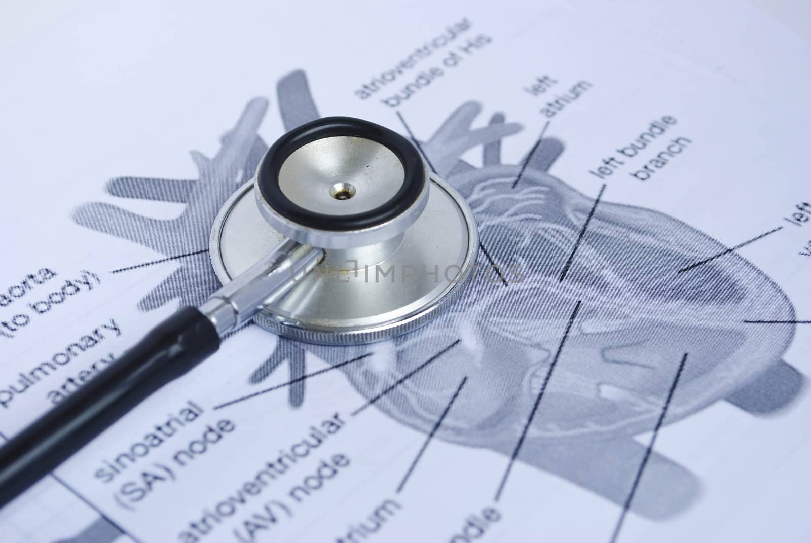 stethoscope on a picture of a human heart