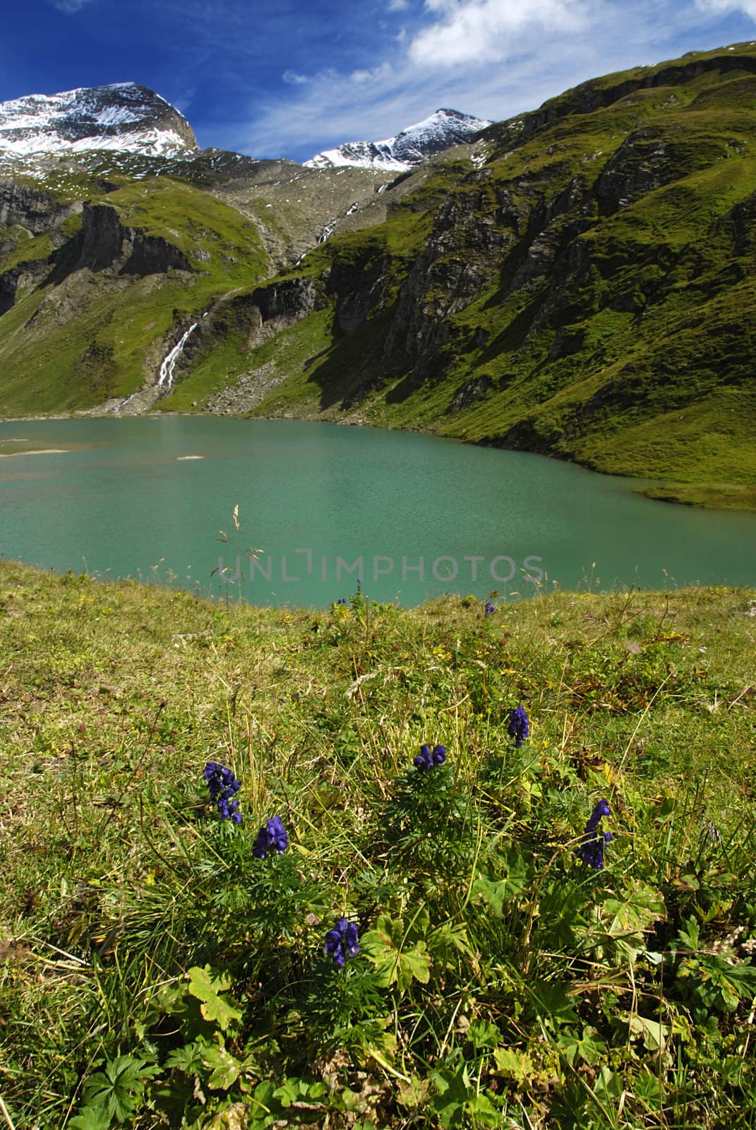 Alpine peaks covered by snow and a beautiful crystal clear lake with a blue flowers in the front