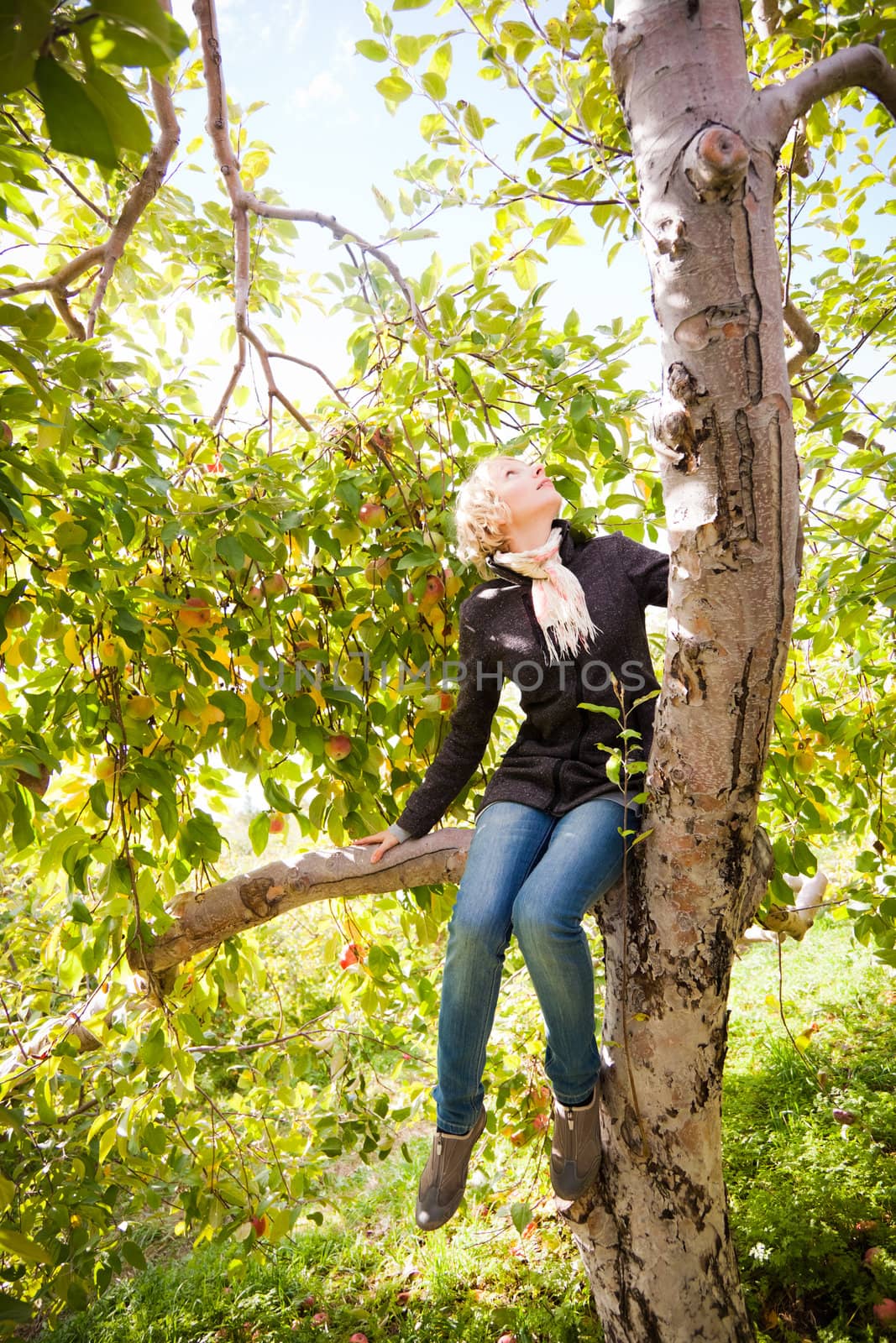 Girl sitting on a apple tree