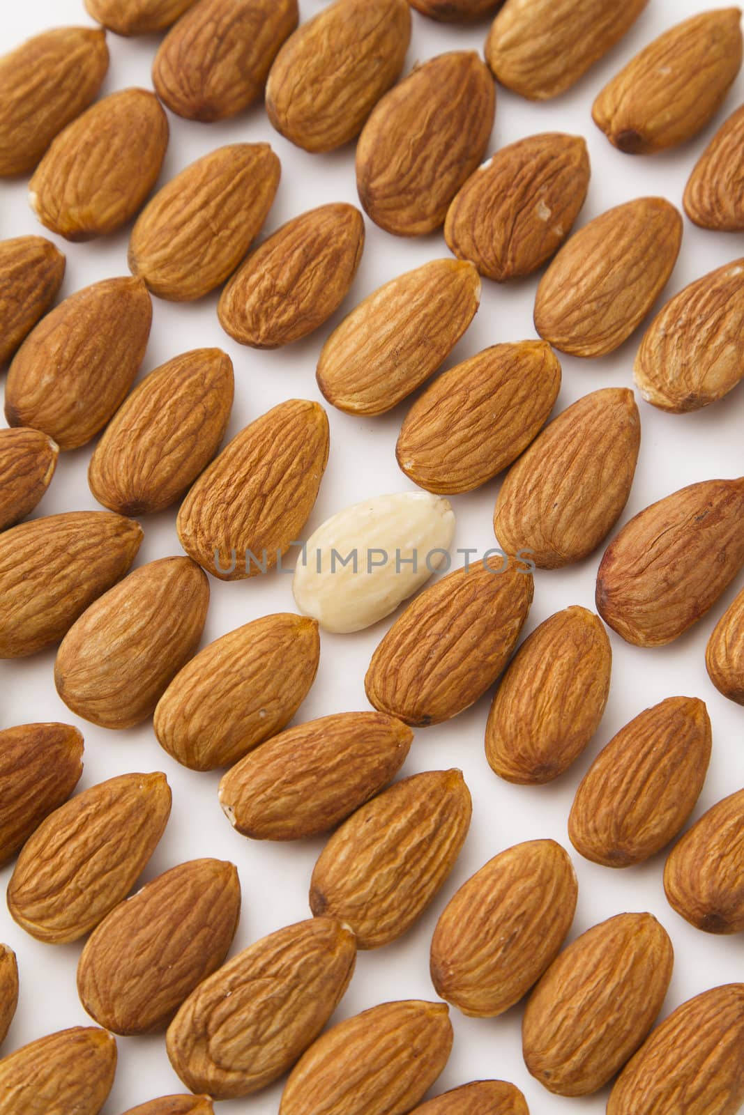 almond line up with on white peeled almond