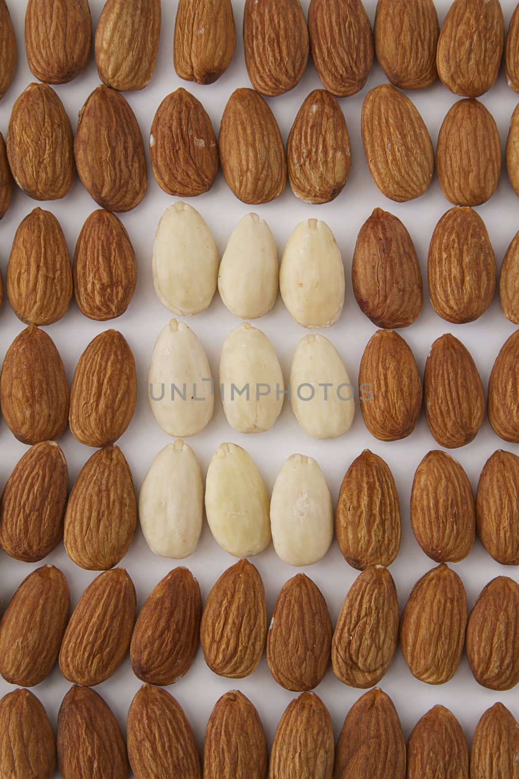 almond line up with a square of white peeled almond