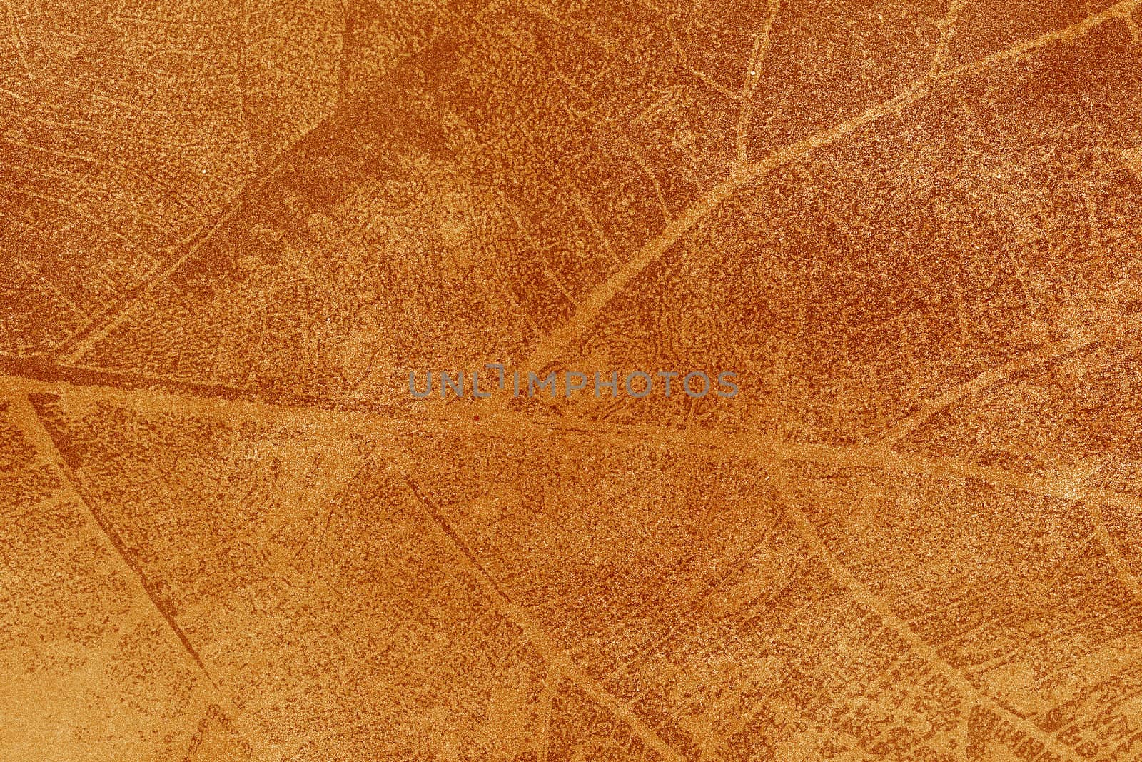 Dry leaf textured on grunge background by jakgree