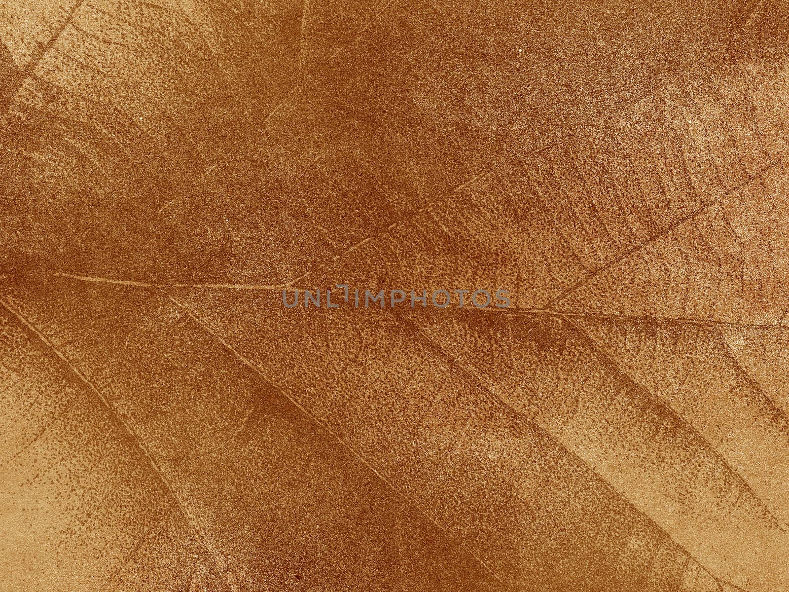 Dry leaf textured on grunge paper background by jakgree