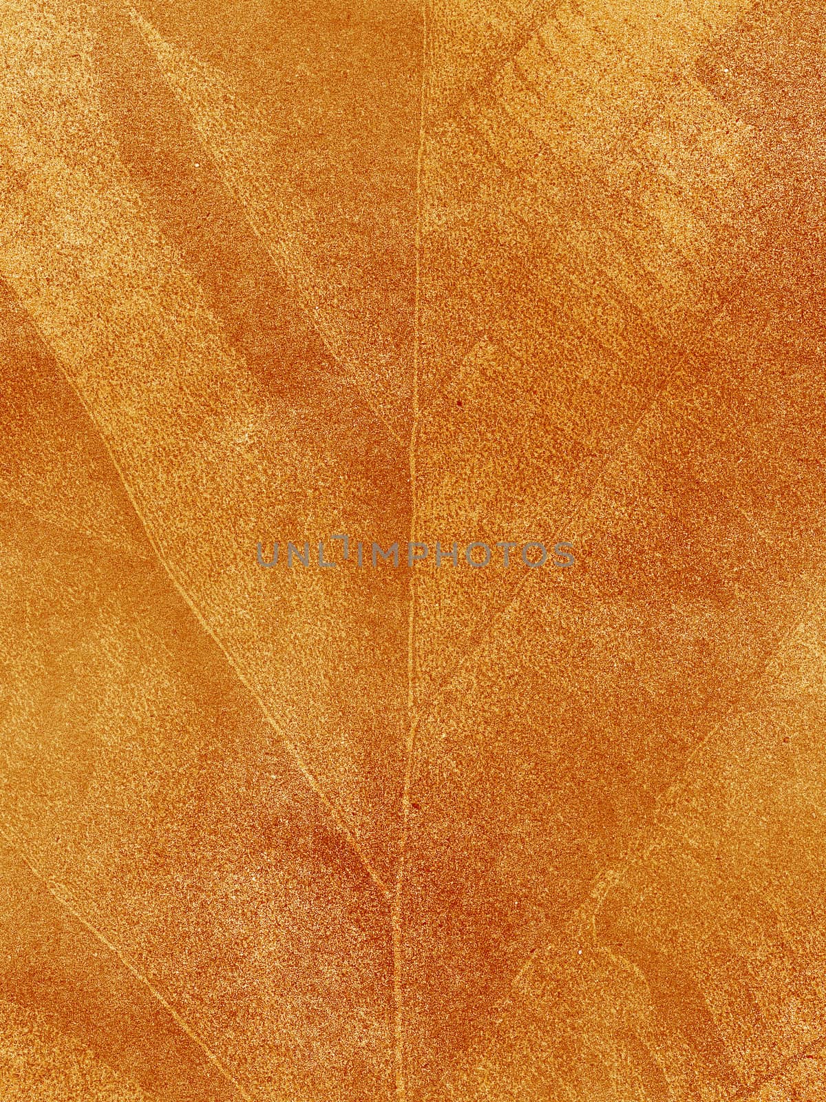 Dry leaf textured on grunge paper background by jakgree