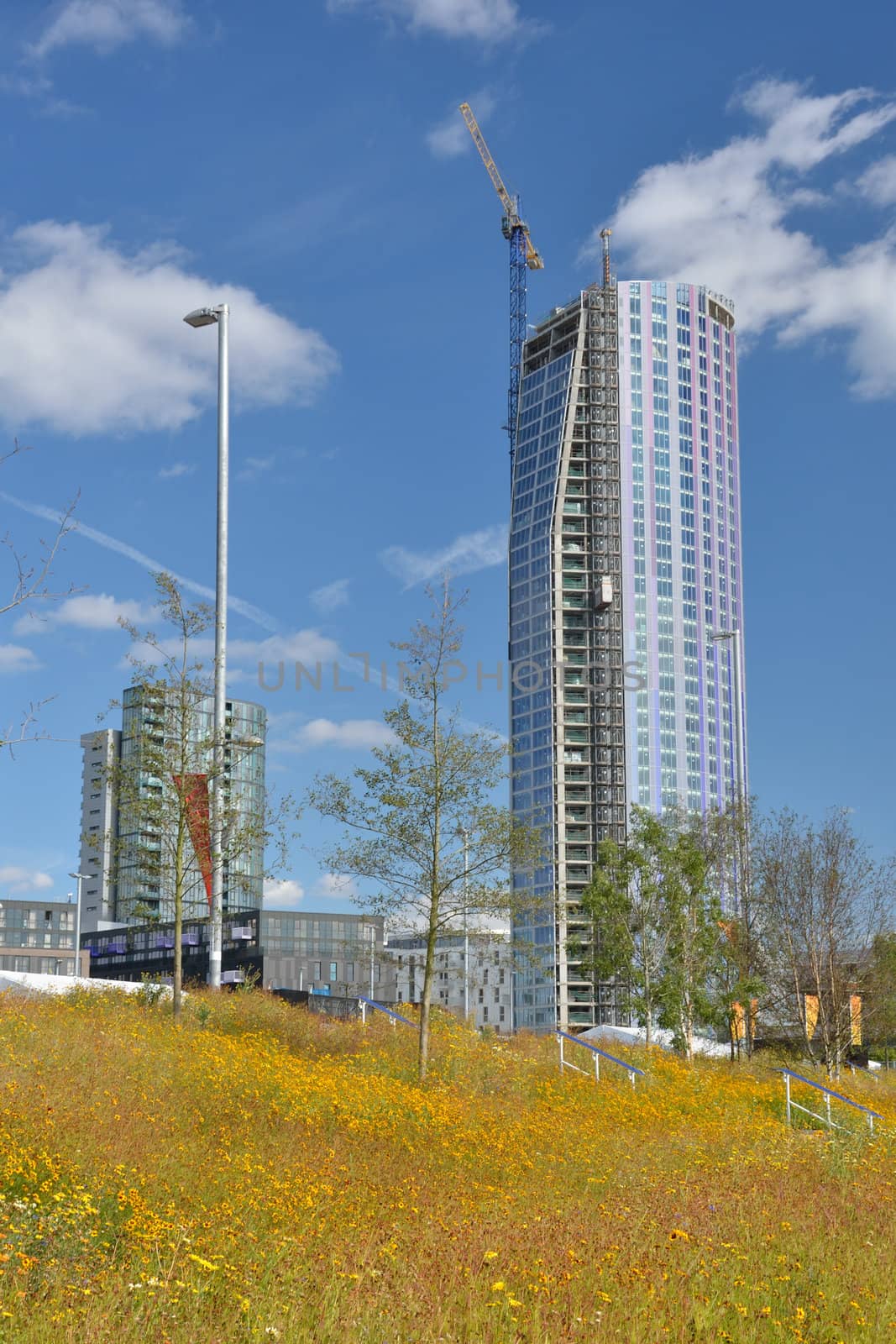 high rise with flowers by pauws99