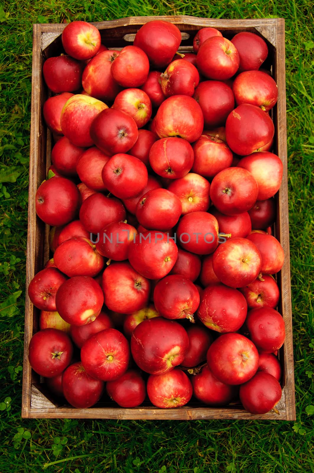 Red apples in a wooden box seen from above