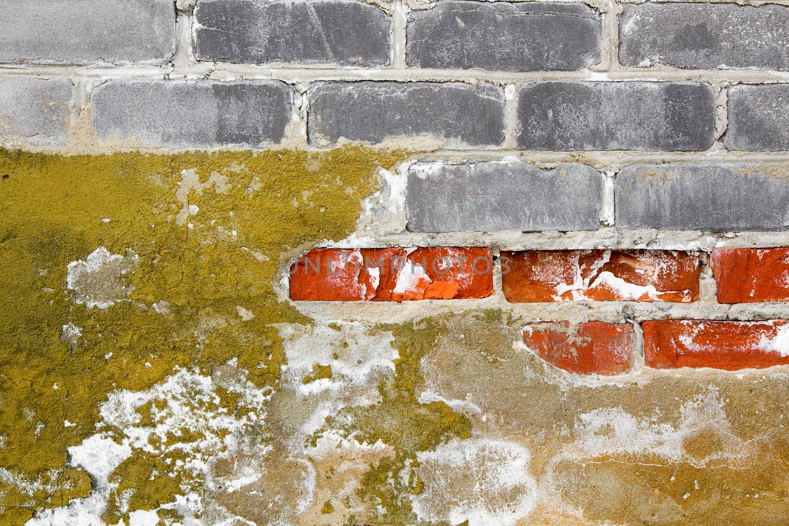 Texture. A ruined wall of bricks with cracked paint and mold