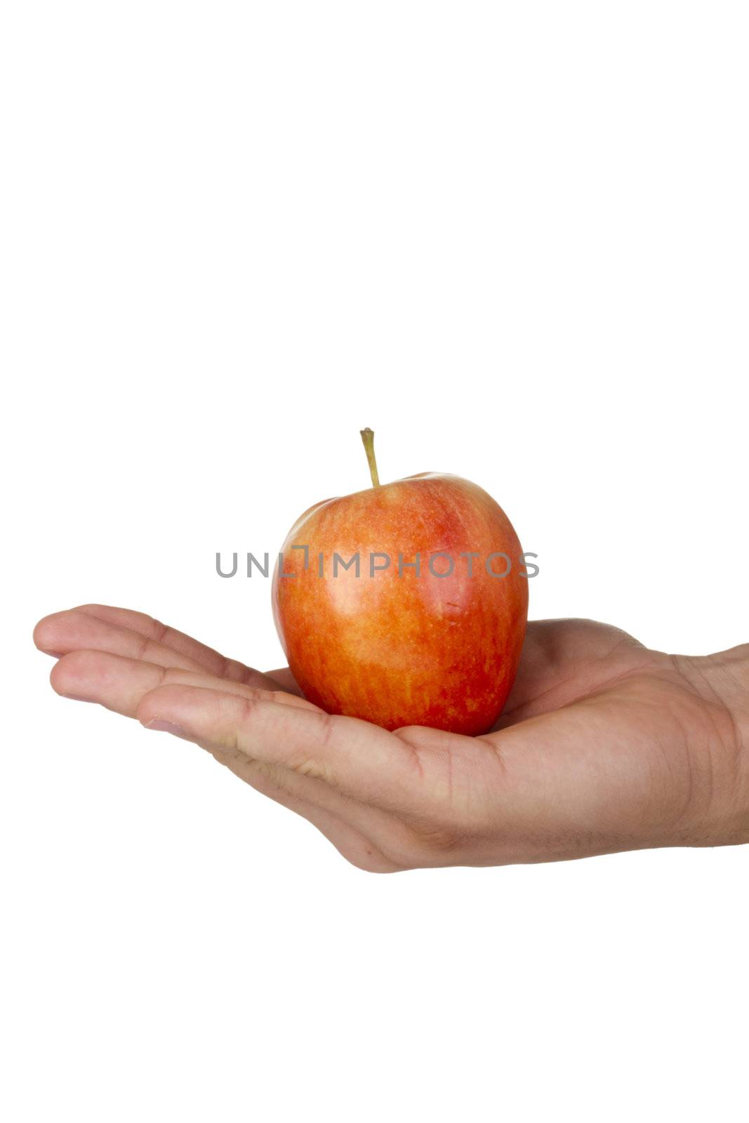 Red Gala apple in a hand isolated on a white background.