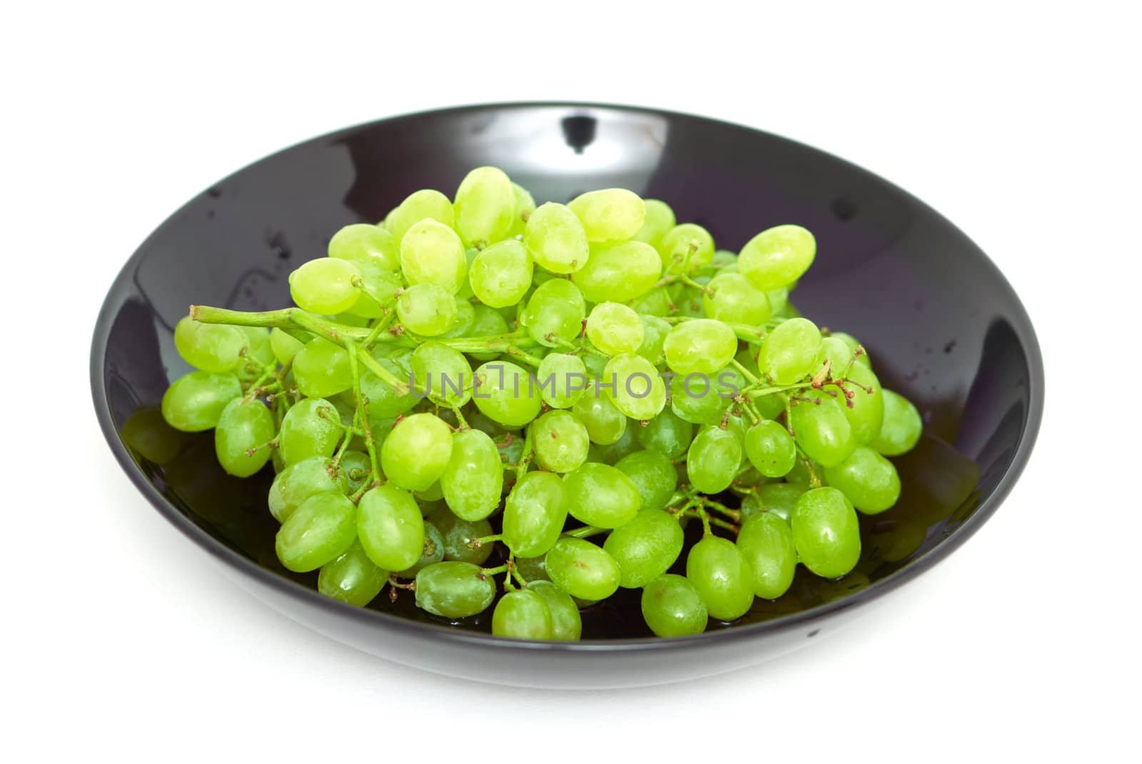 Green vine on a black dish