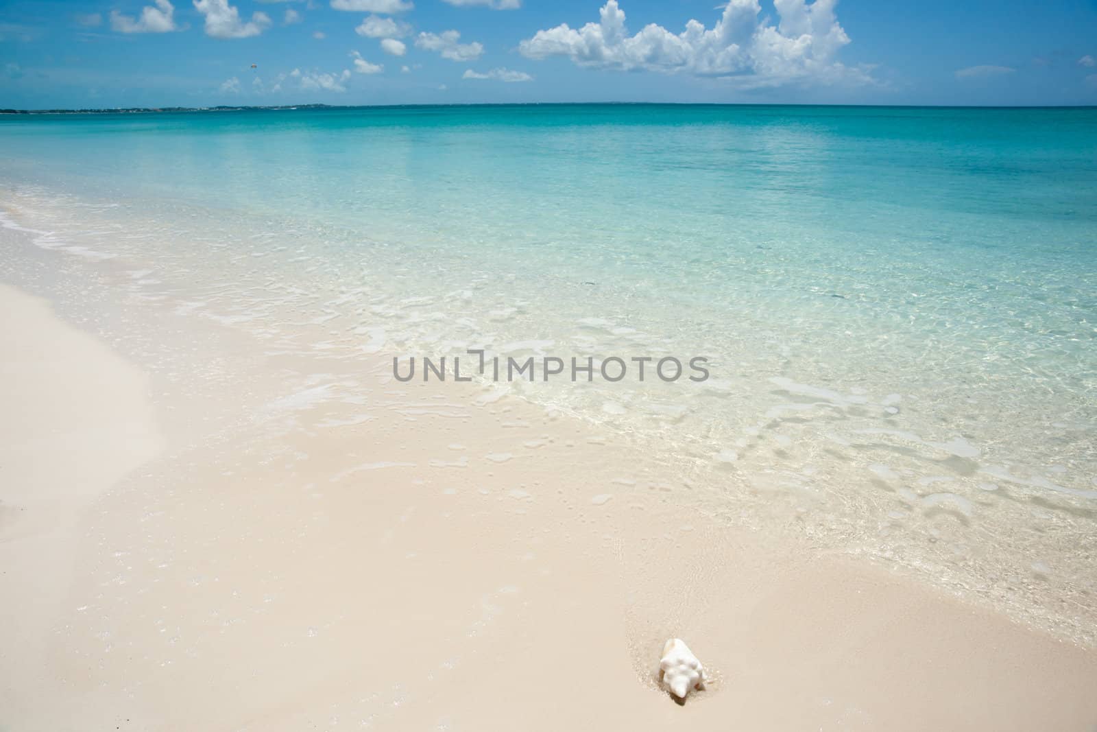 Sea view from beach, with conch shell in foreground.