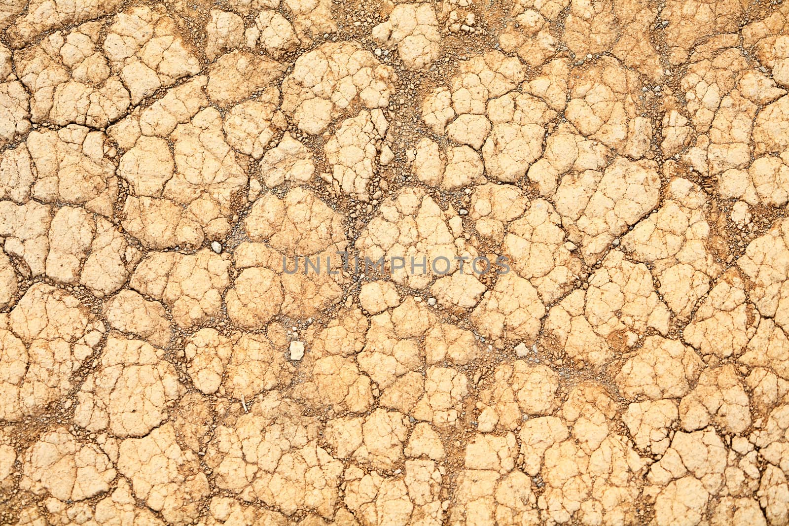Desert sand texture background by Maridav