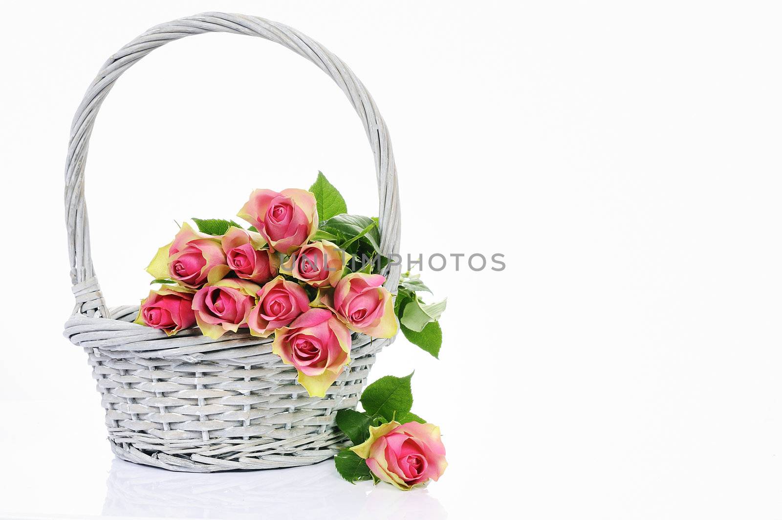 bouquet of pink roses in basket isolated on white background 